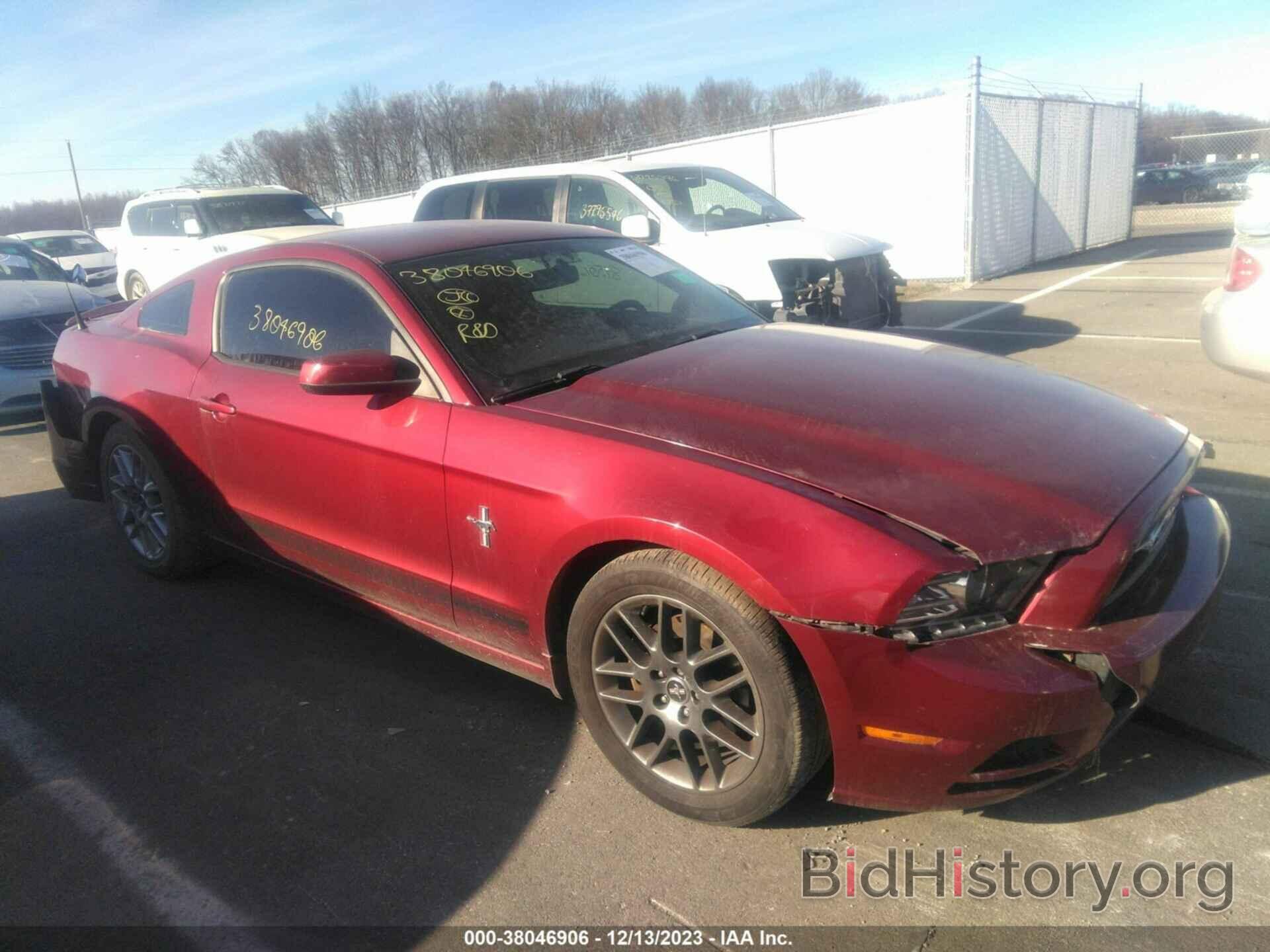 Photo 1ZVBP8AM3E5226223 - FORD MUSTANG 2014