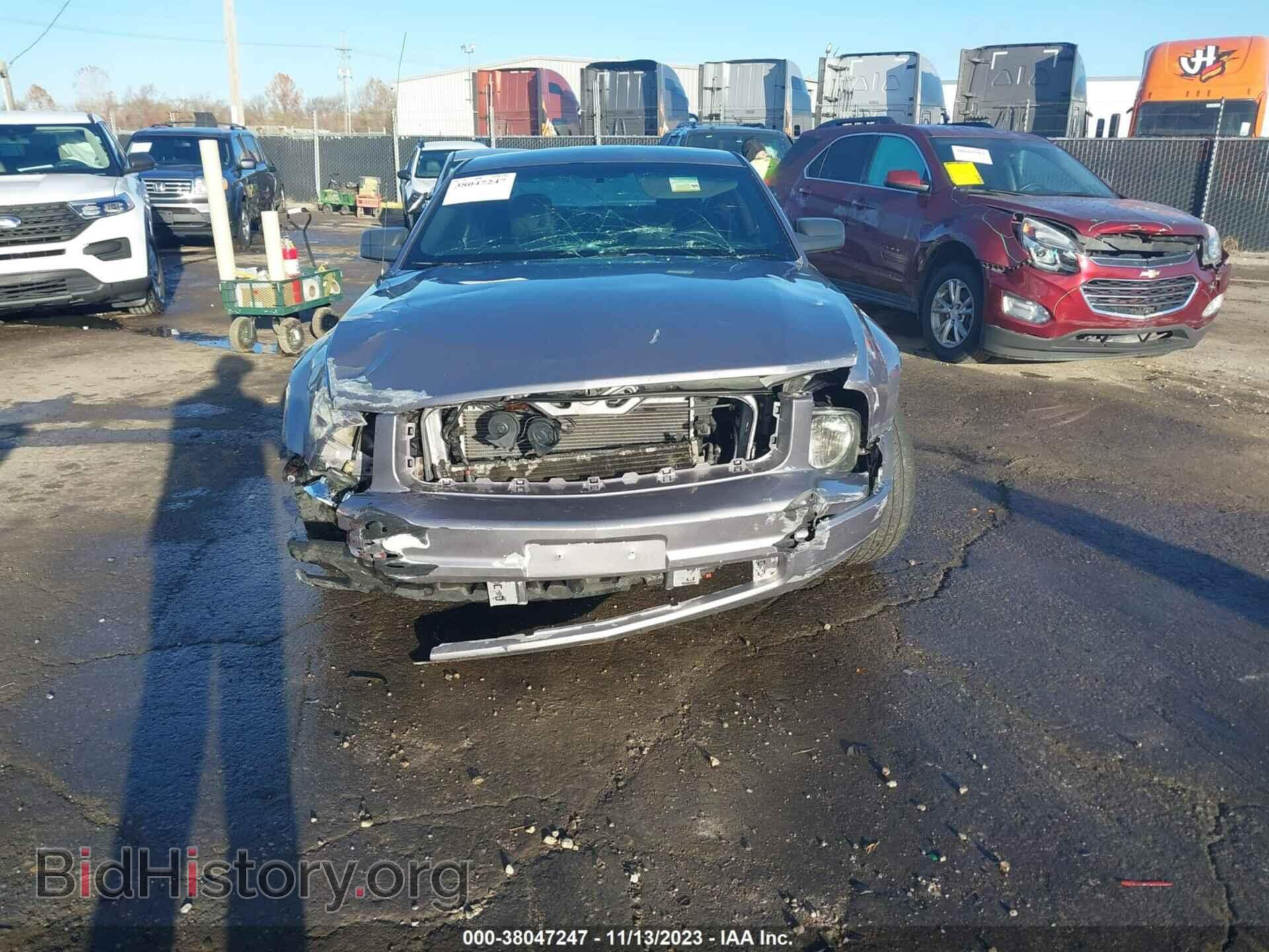 2006 FORD MUSTANG - VIN: 1ZVFT80N365145893 - Фото 6