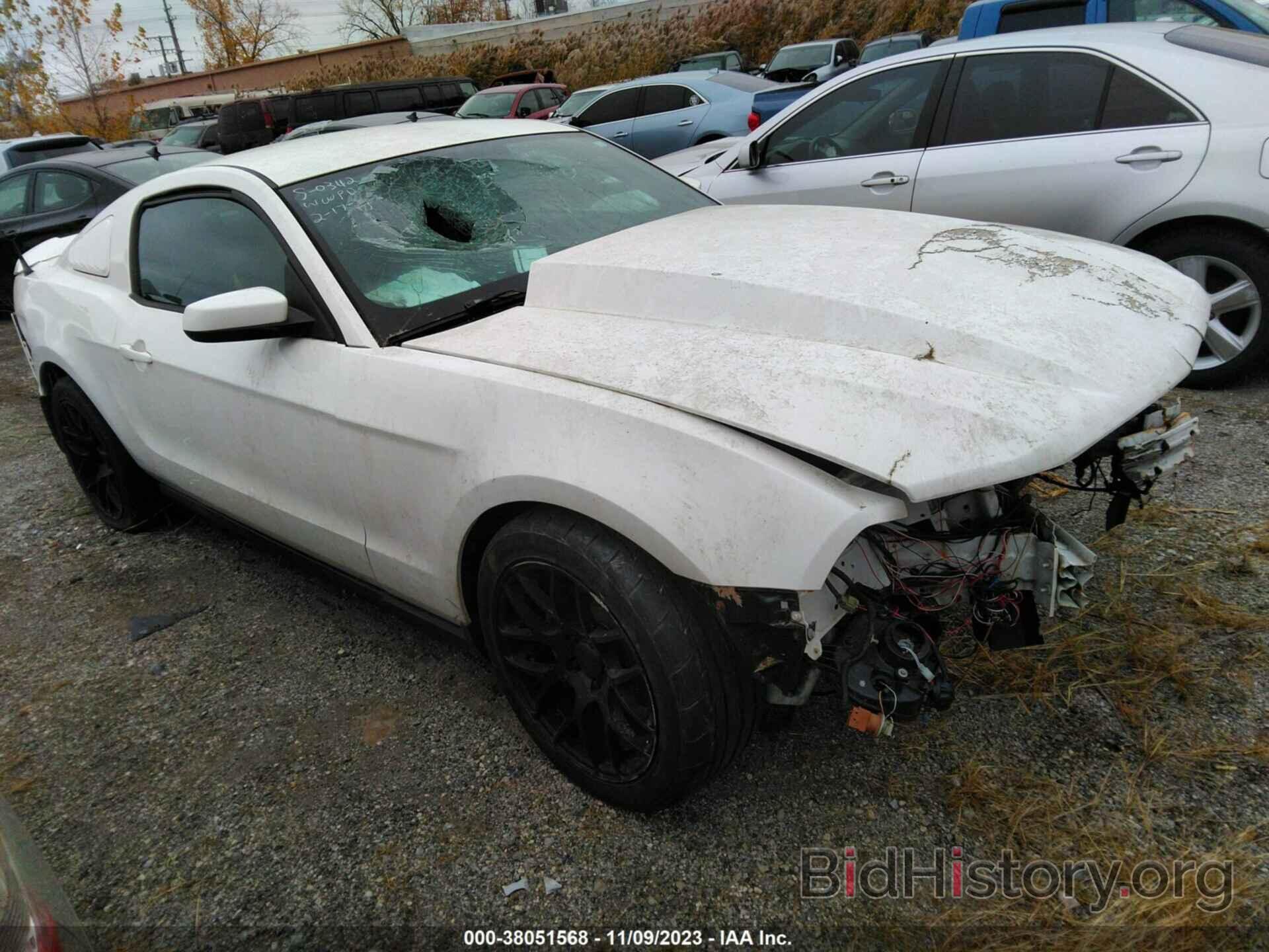 Photo 1ZVBP8AM0C5246135 - FORD MUSTANG 2012