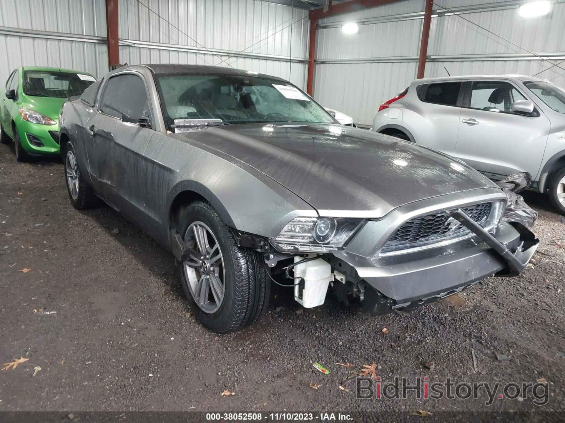 Photo 1ZVBP8AM3D5204351 - FORD MUSTANG 2013