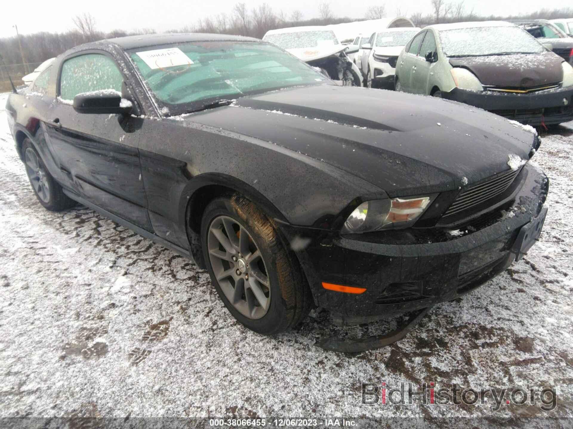 Photo 1ZVBP8AM1C5215251 - FORD MUSTANG 2012