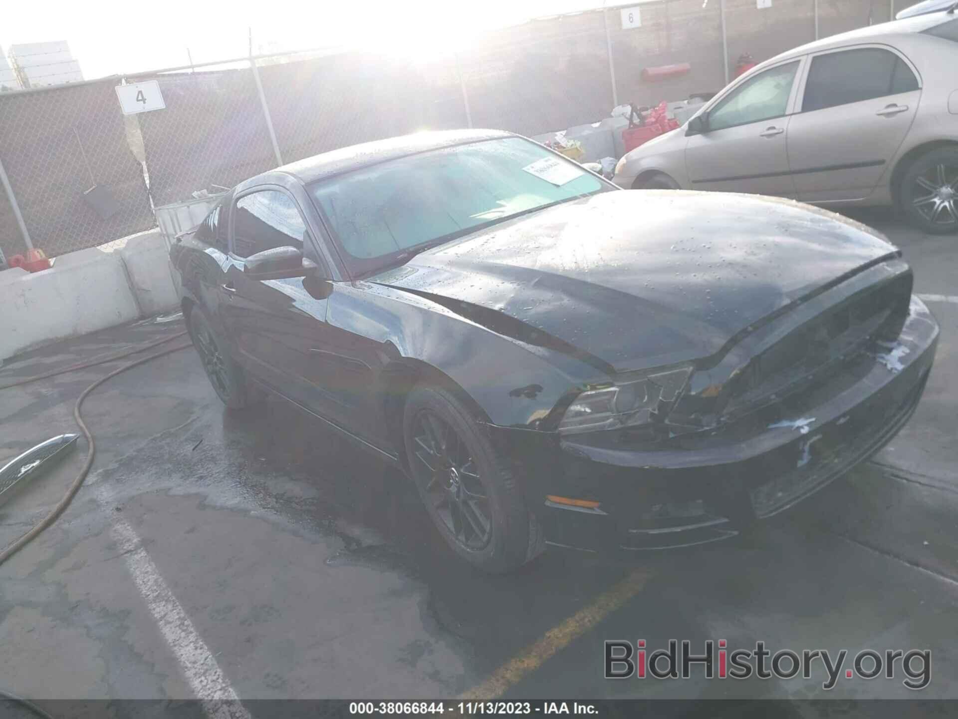 Photo 1ZVBP8AM9E5321630 - FORD MUSTANG 2014