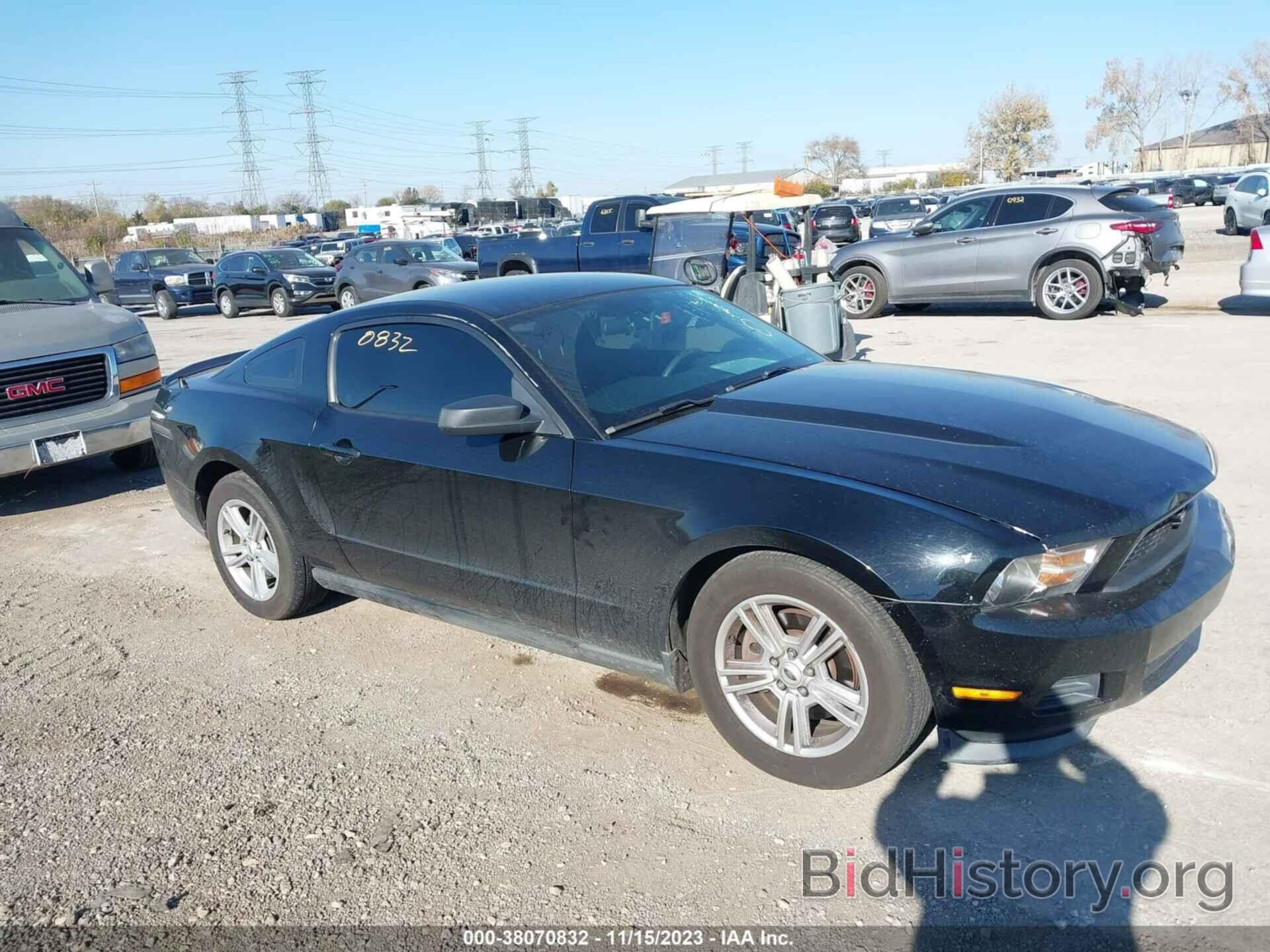 Photo 1ZVBP8AM7C5202343 - FORD MUSTANG 2012