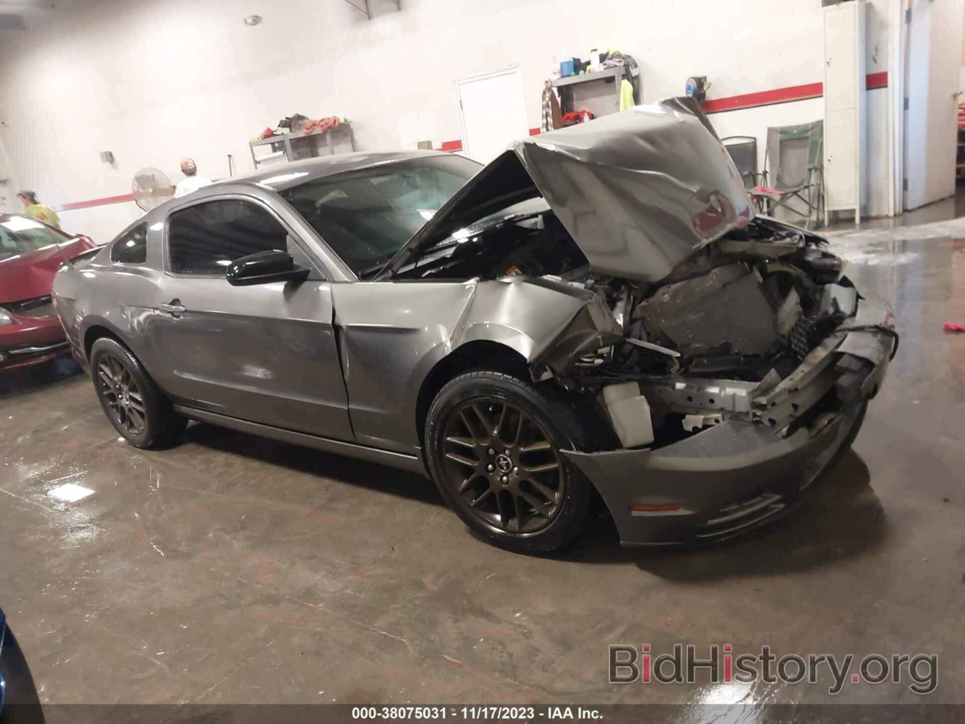 Photo 1ZVBP8AM0E5254772 - FORD MUSTANG 2014