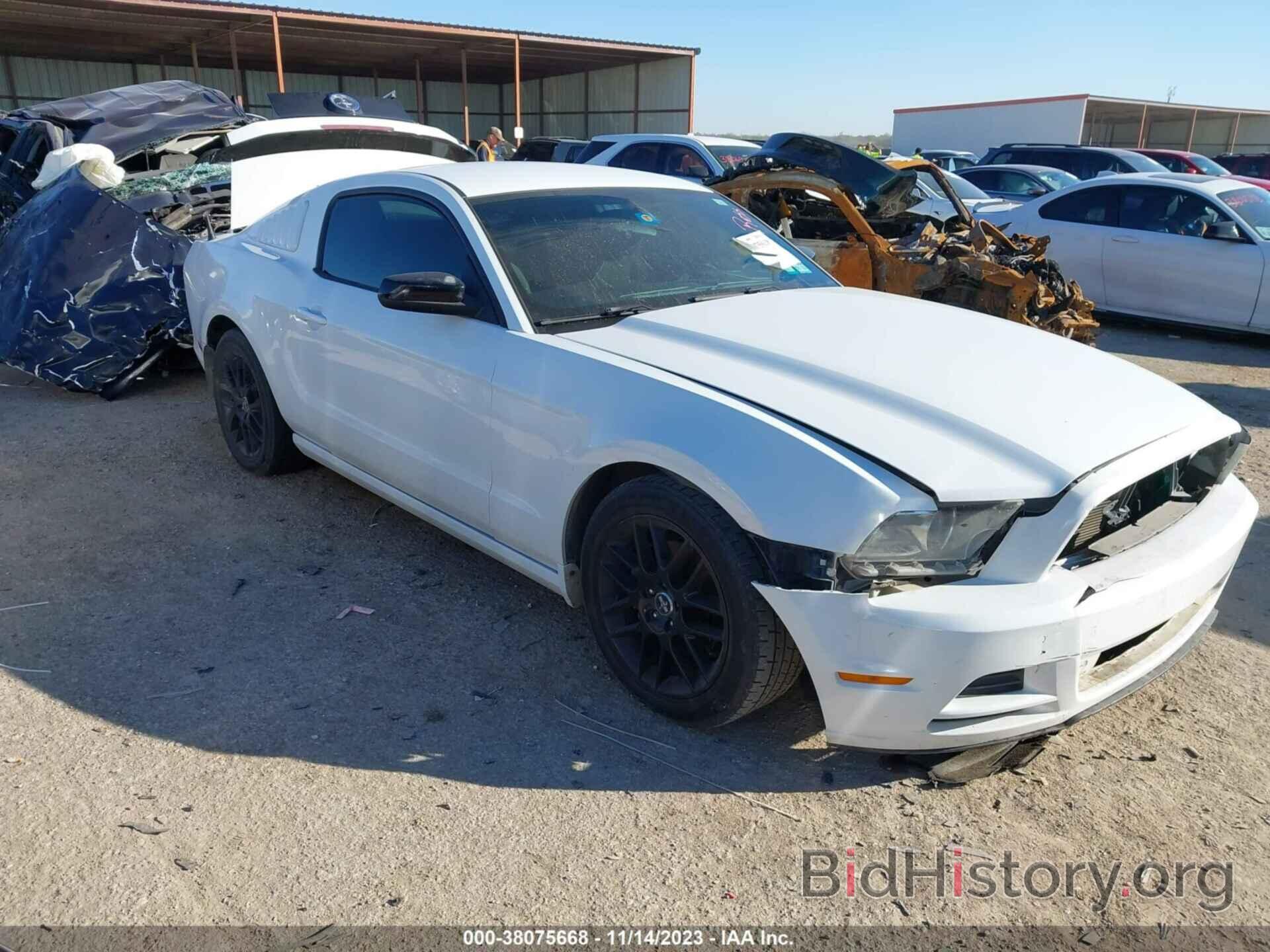 Photo 1ZVBP8AM7E5307077 - FORD MUSTANG 2014