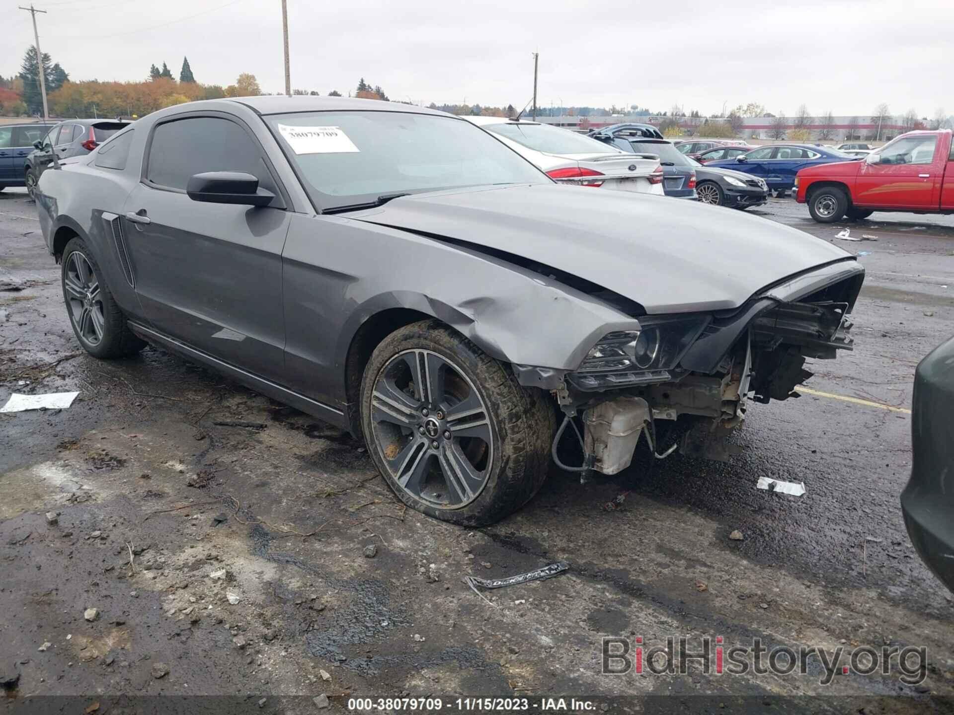 Photo 1ZVBP8AM5E5291977 - FORD MUSTANG 2014