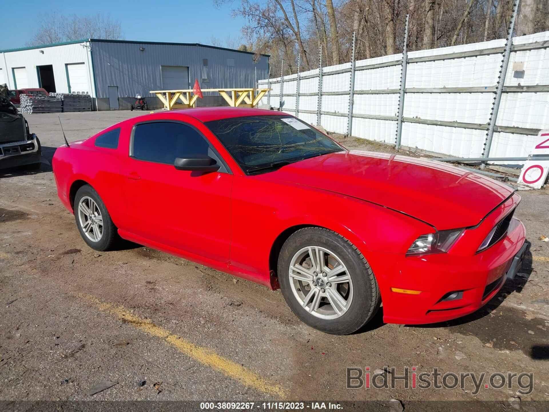 Photo 1ZVBP8AM4E5277424 - FORD MUSTANG 2014