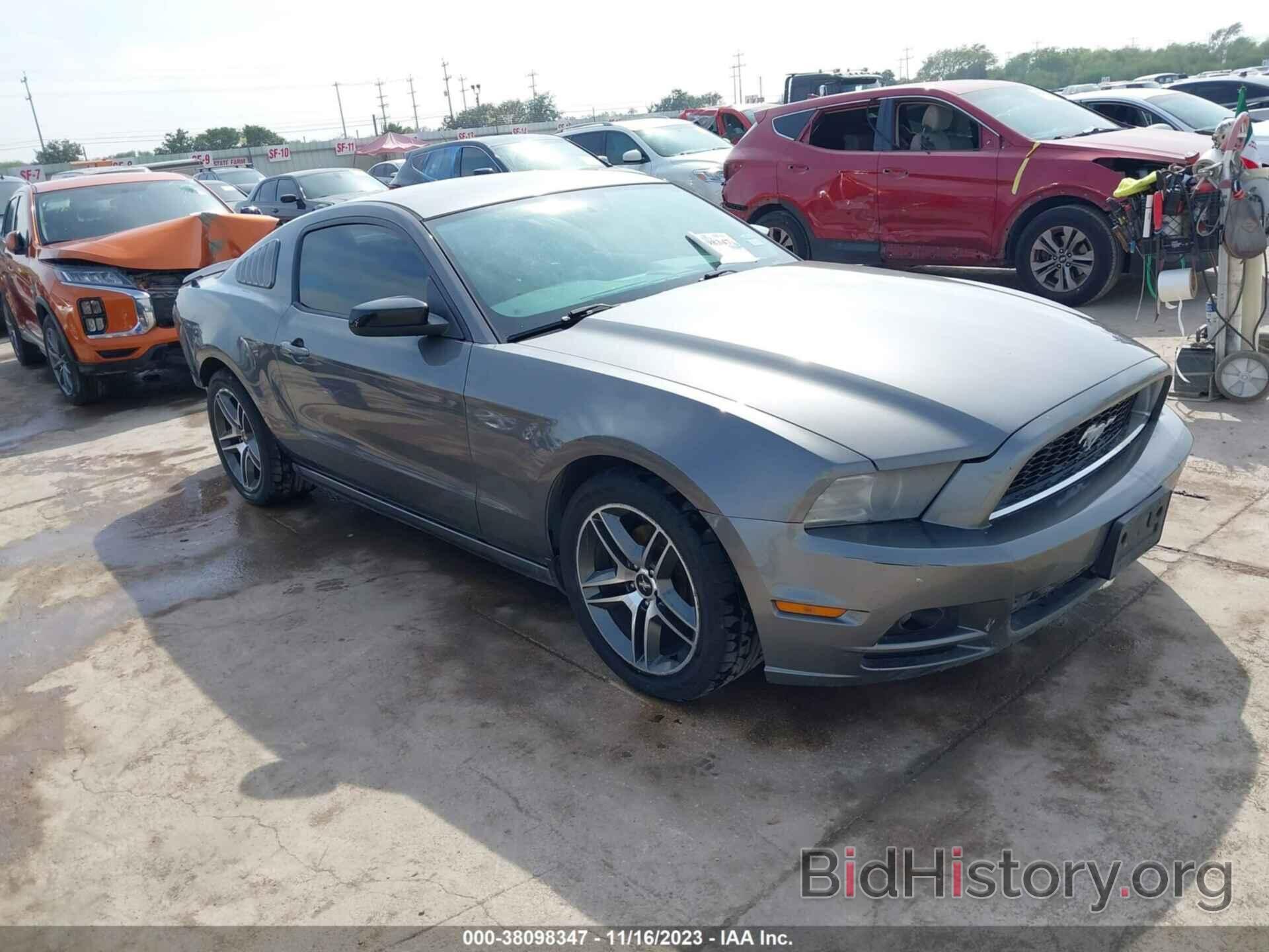 Photo 1ZVBP8AM8E5296302 - FORD MUSTANG 2014