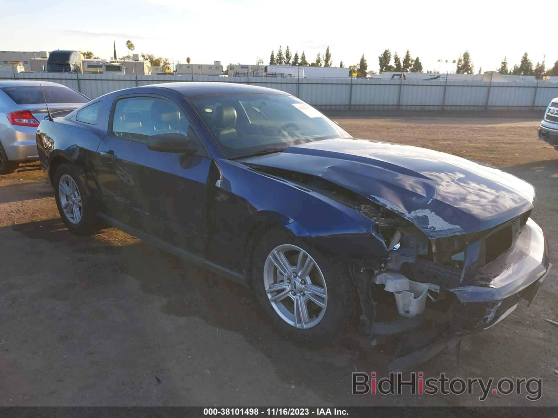 Photo 1ZVBP8AM0C5268071 - FORD MUSTANG 2012