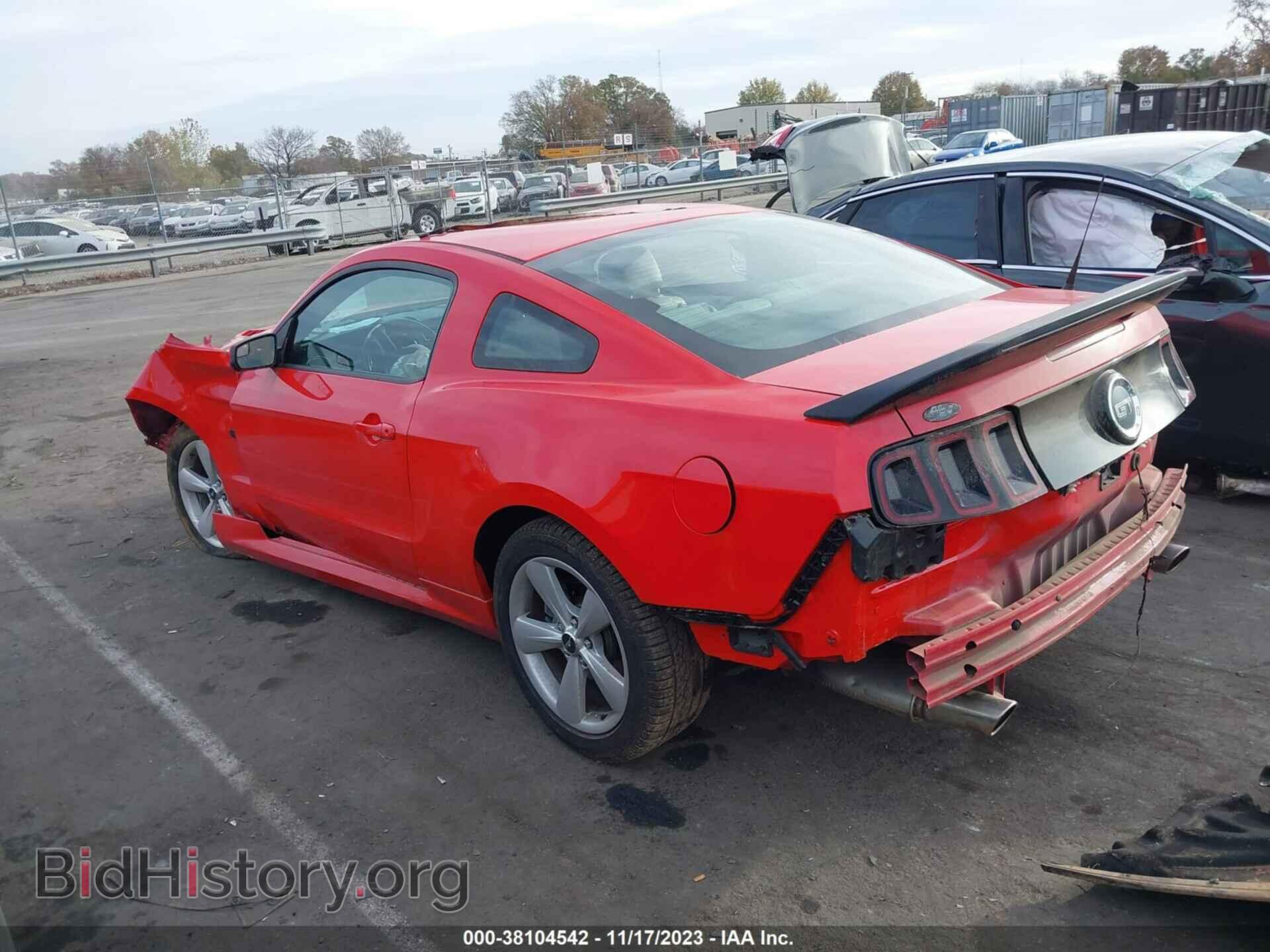 2014 FORD MUSTANG - VIN: 1ZVBP8CF8E5251438 - Фото 3