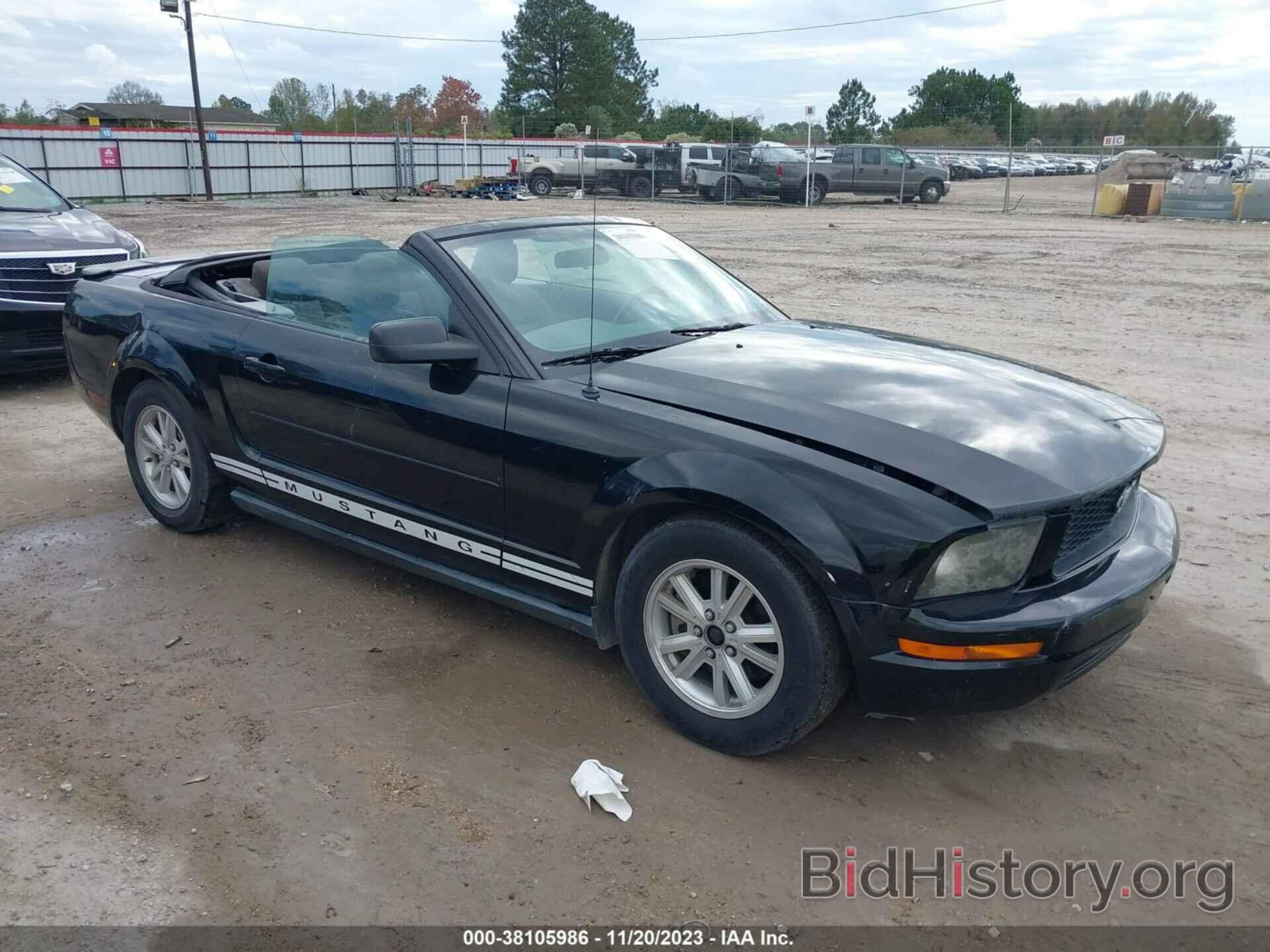 Photo 1ZVHT84N185193706 - FORD MUSTANG 2008