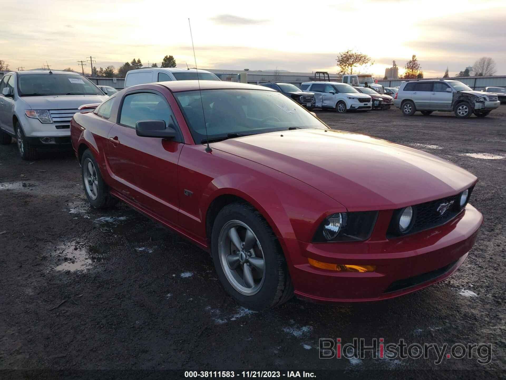 Photo 1ZVHT82H165175409 - FORD MUSTANG 2006