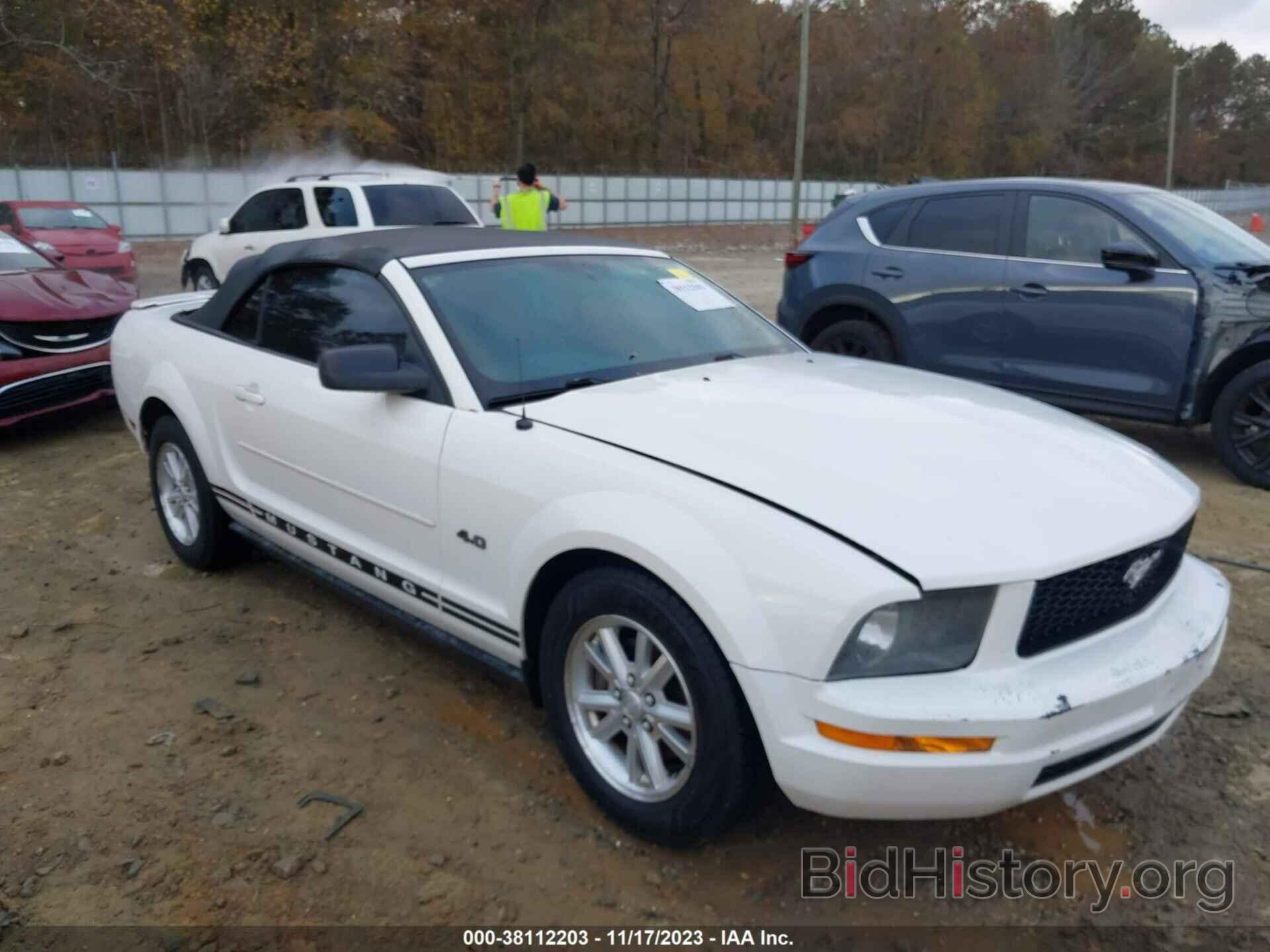Photo 1ZVHT84N185176811 - FORD MUSTANG 2008