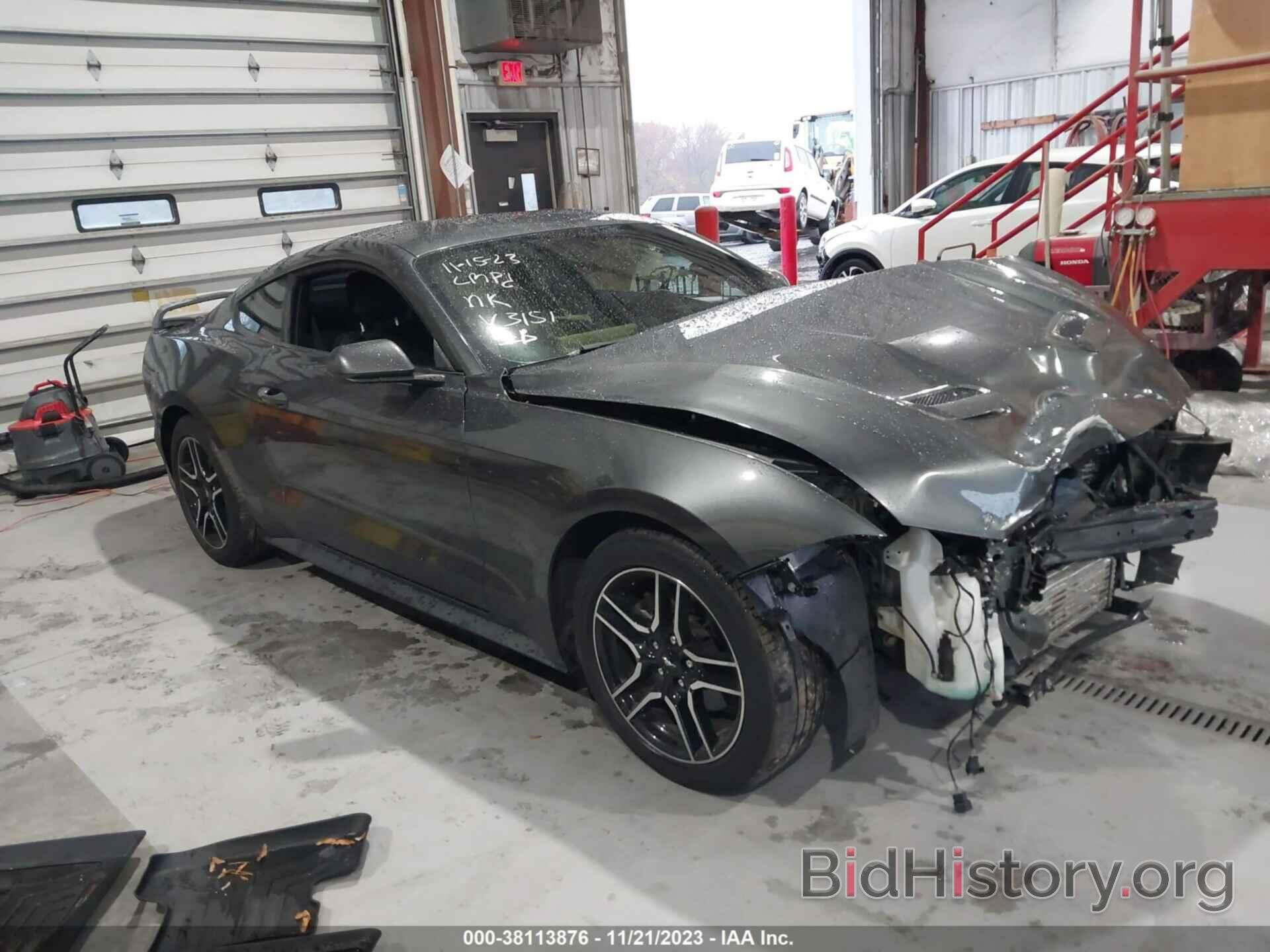 Photo 1FA6P8TH9K5163151 - FORD MUSTANG 2019