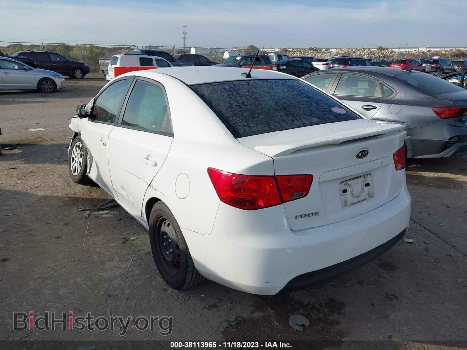 2013 KIA FORTE - VIN: KNAFT4A23D5669250 - Фото 3