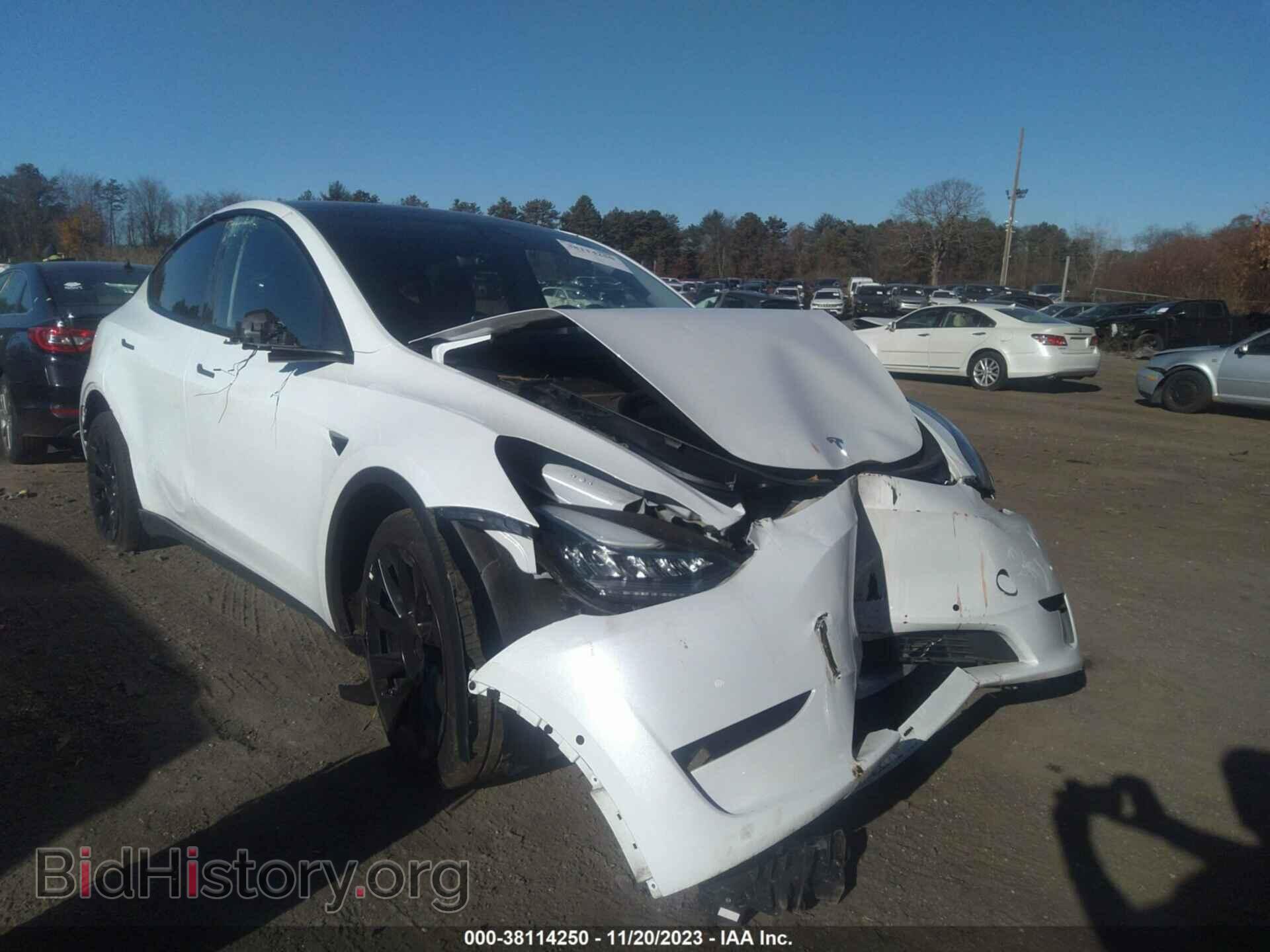 2022 TESLA MODEL Y - VIN: 7SAYGDEE8NF435533 - Фото 6