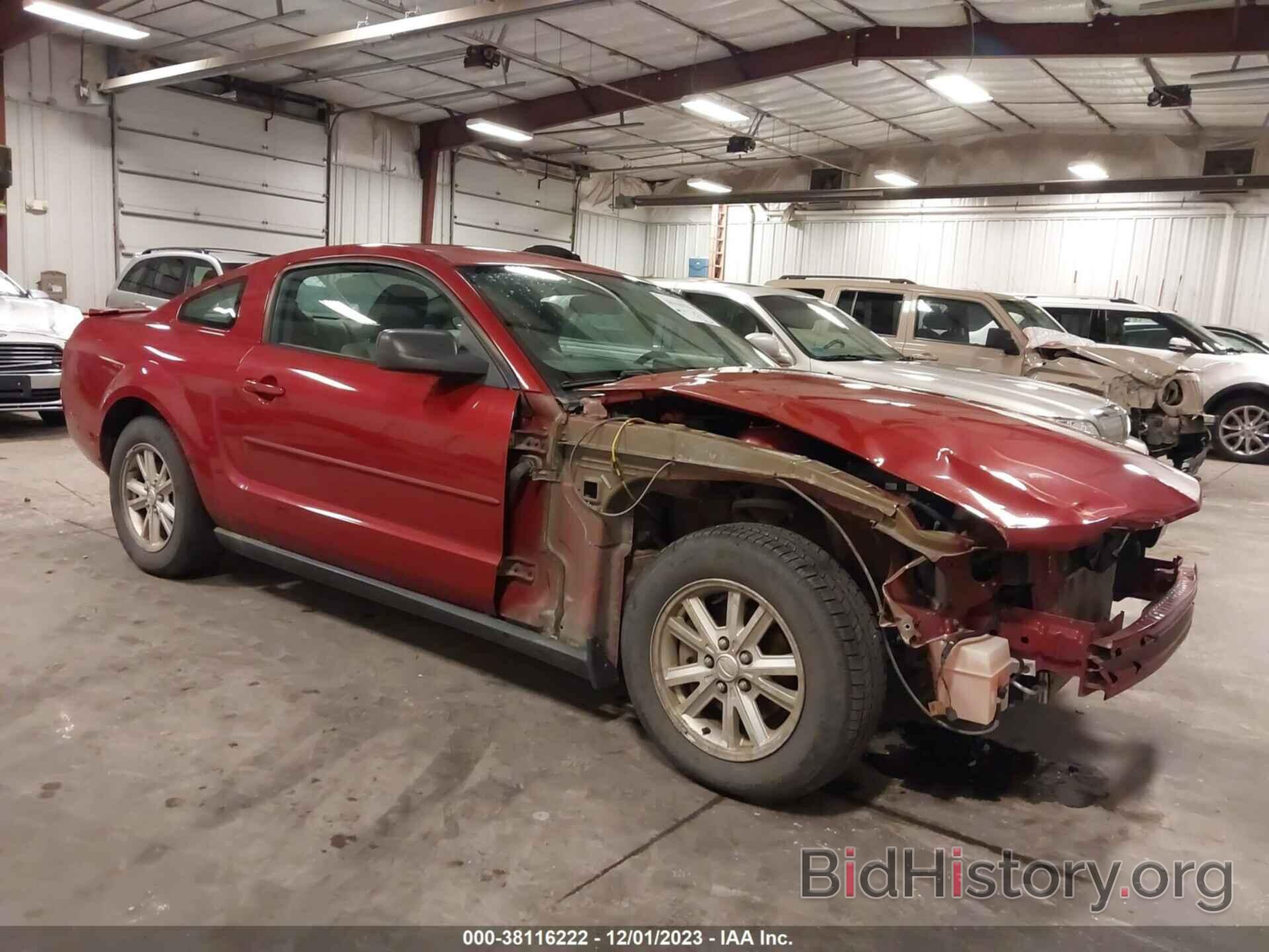 Photo 1ZVHT80N385191056 - FORD MUSTANG 2008