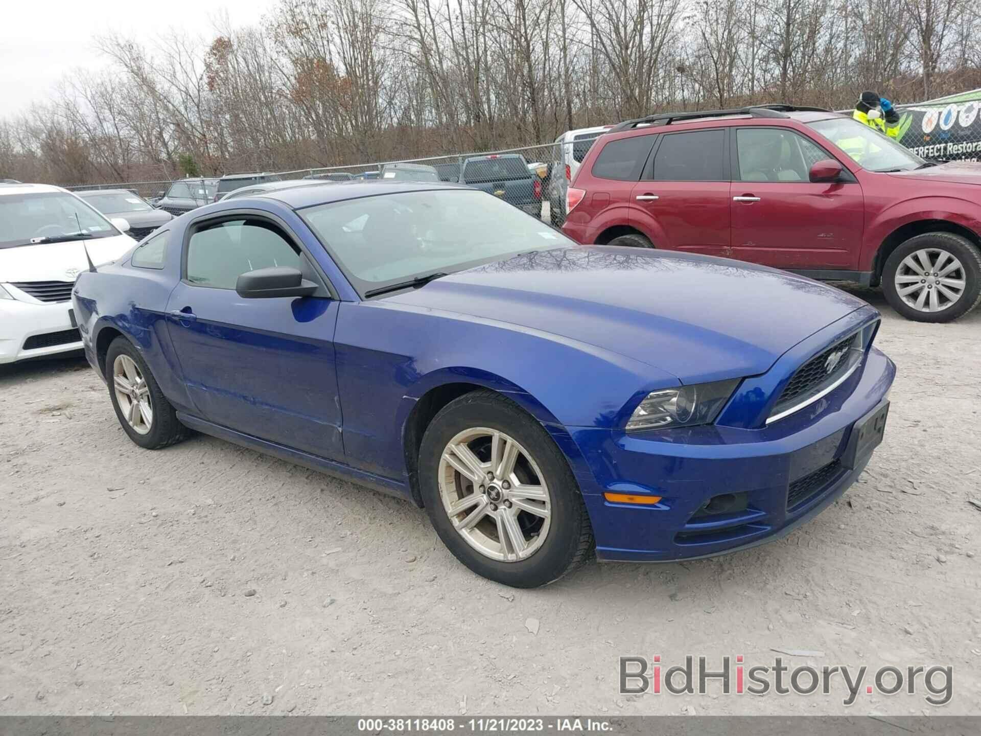 Photo 1ZVBP8AM6E5318068 - FORD MUSTANG 2014