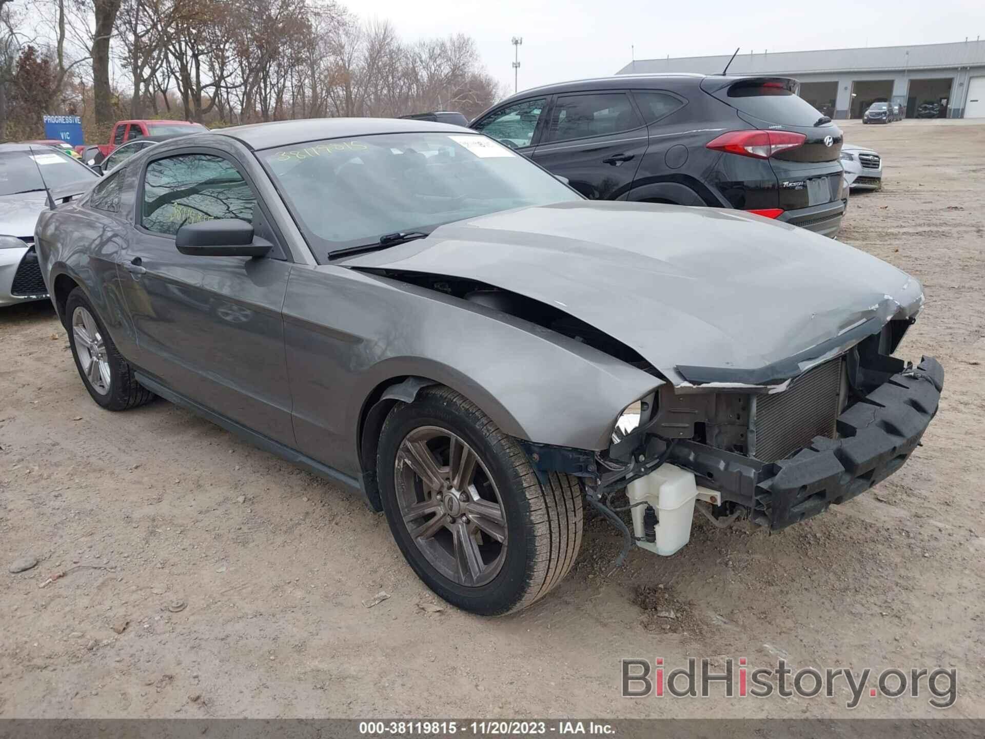Photo 1ZVBP8AN1A5141352 - FORD MUSTANG 2010