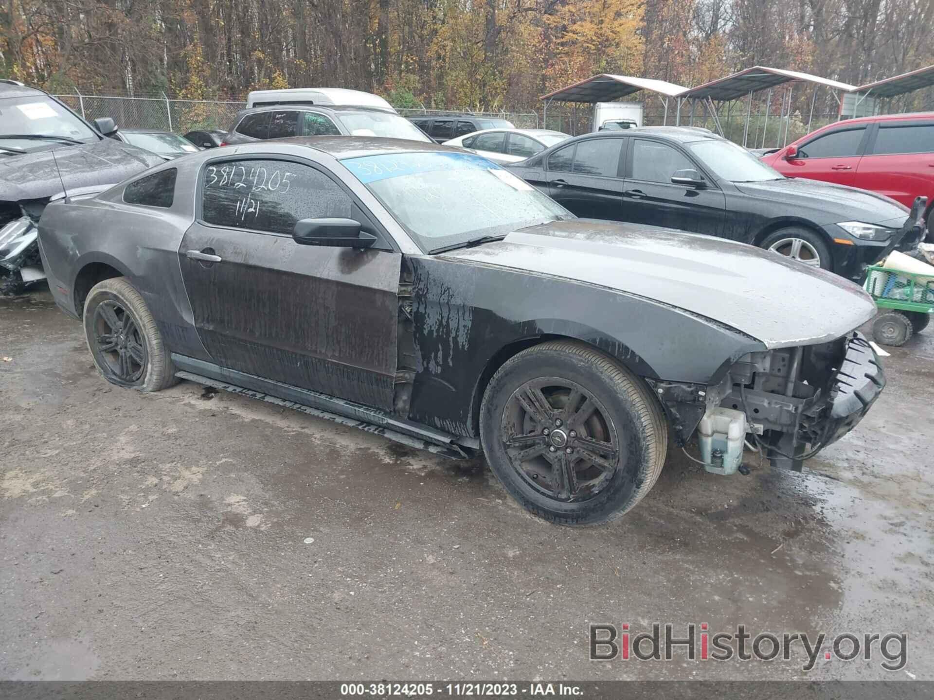 Photo 1ZVBP8AN6A5173374 - FORD MUSTANG 2010