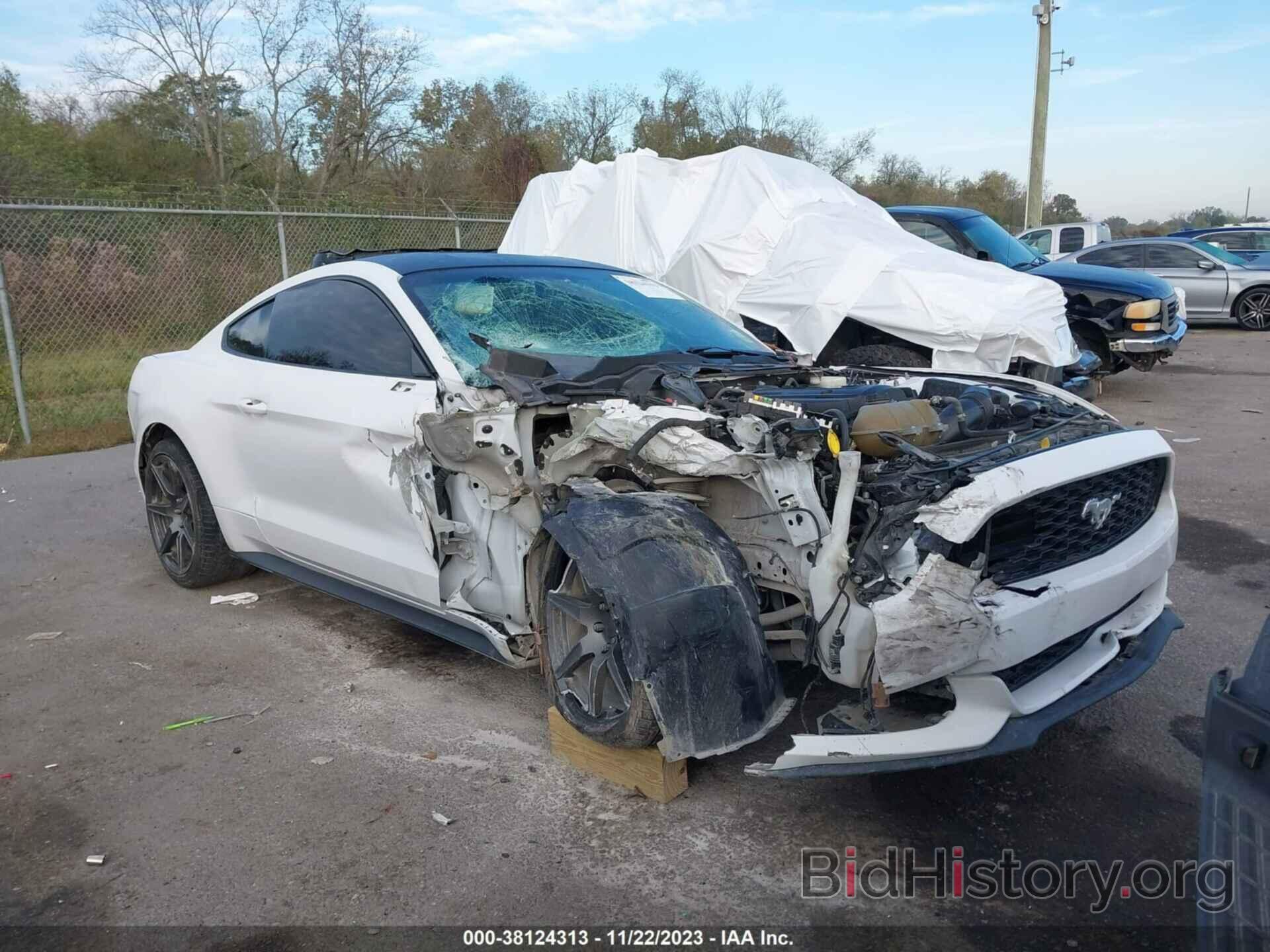 Photo 1FA6P8TH4G5289926 - FORD MUSTANG 2016