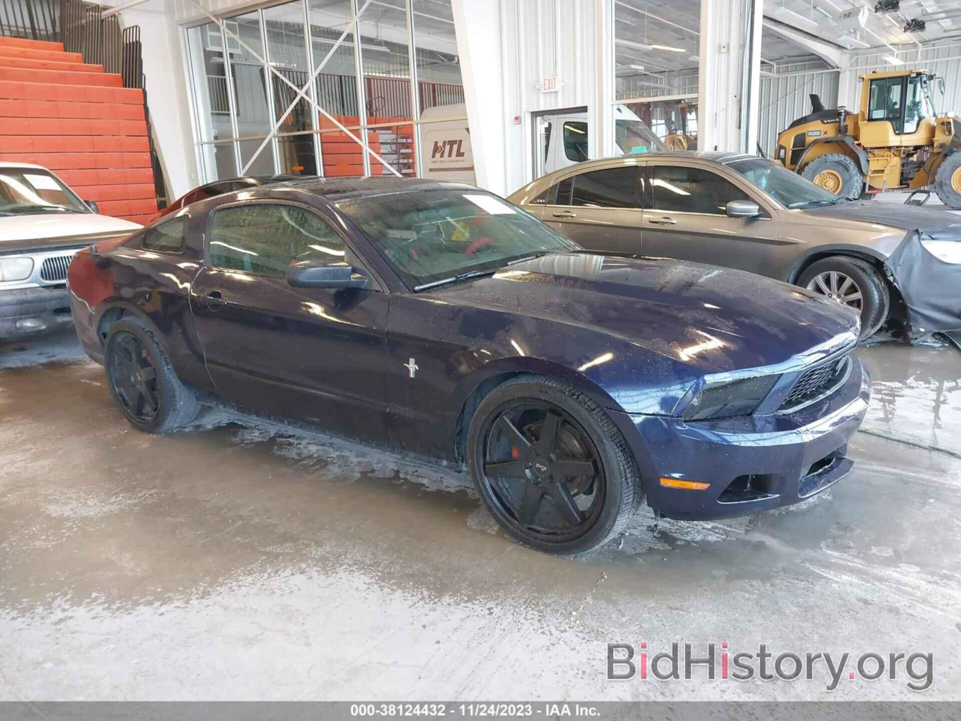 Photo 1ZVBP8AN1A5165523 - FORD MUSTANG 2010