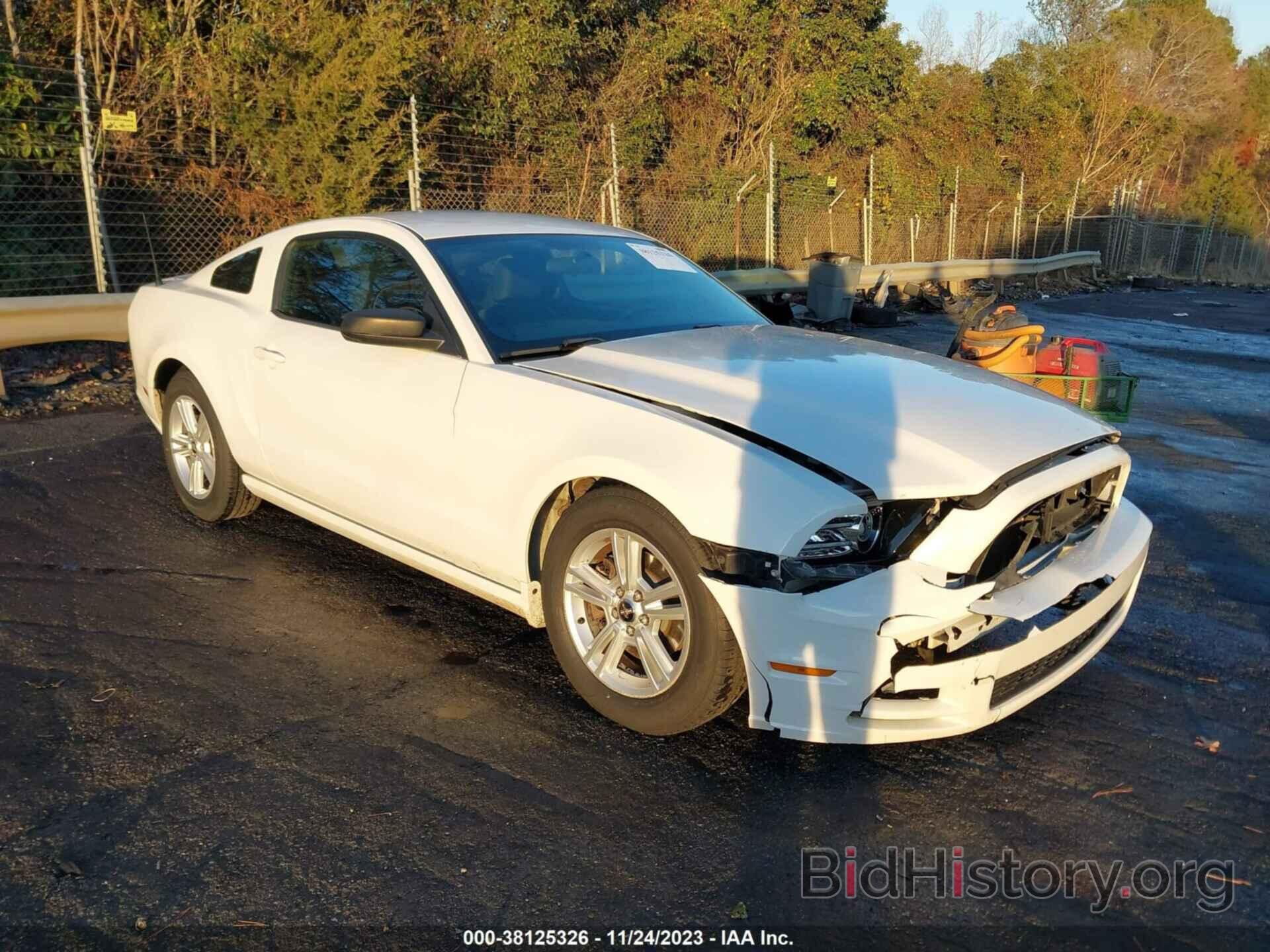 Photo 1ZVBP8AM7E5230842 - FORD MUSTANG 2014