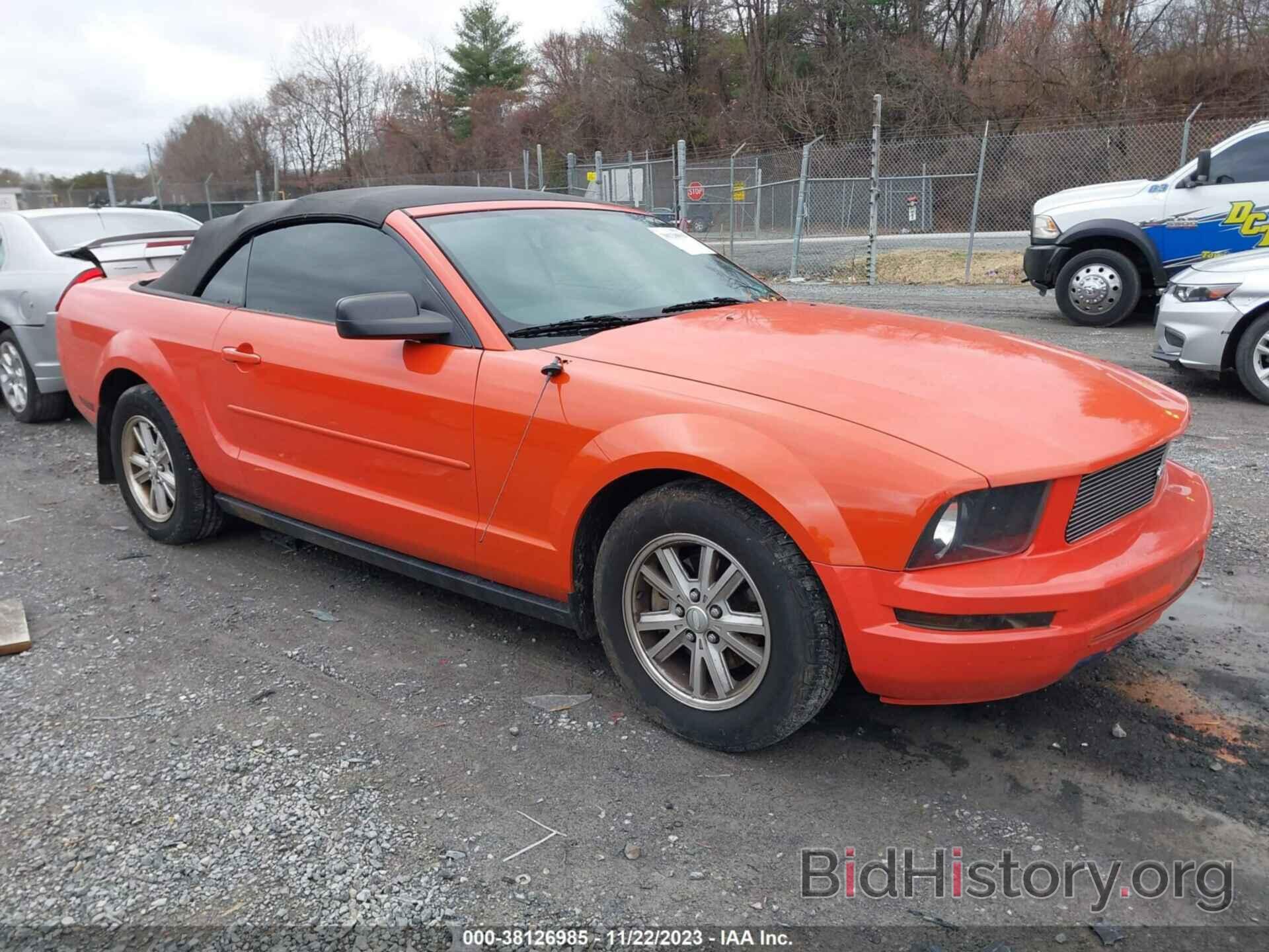 Photo 1ZVHT84N585185897 - FORD MUSTANG 2008