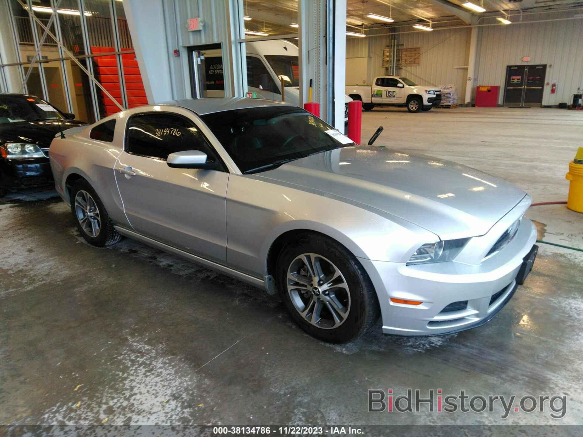 Photo 1ZVBP8AM6E5282852 - FORD MUSTANG 2014