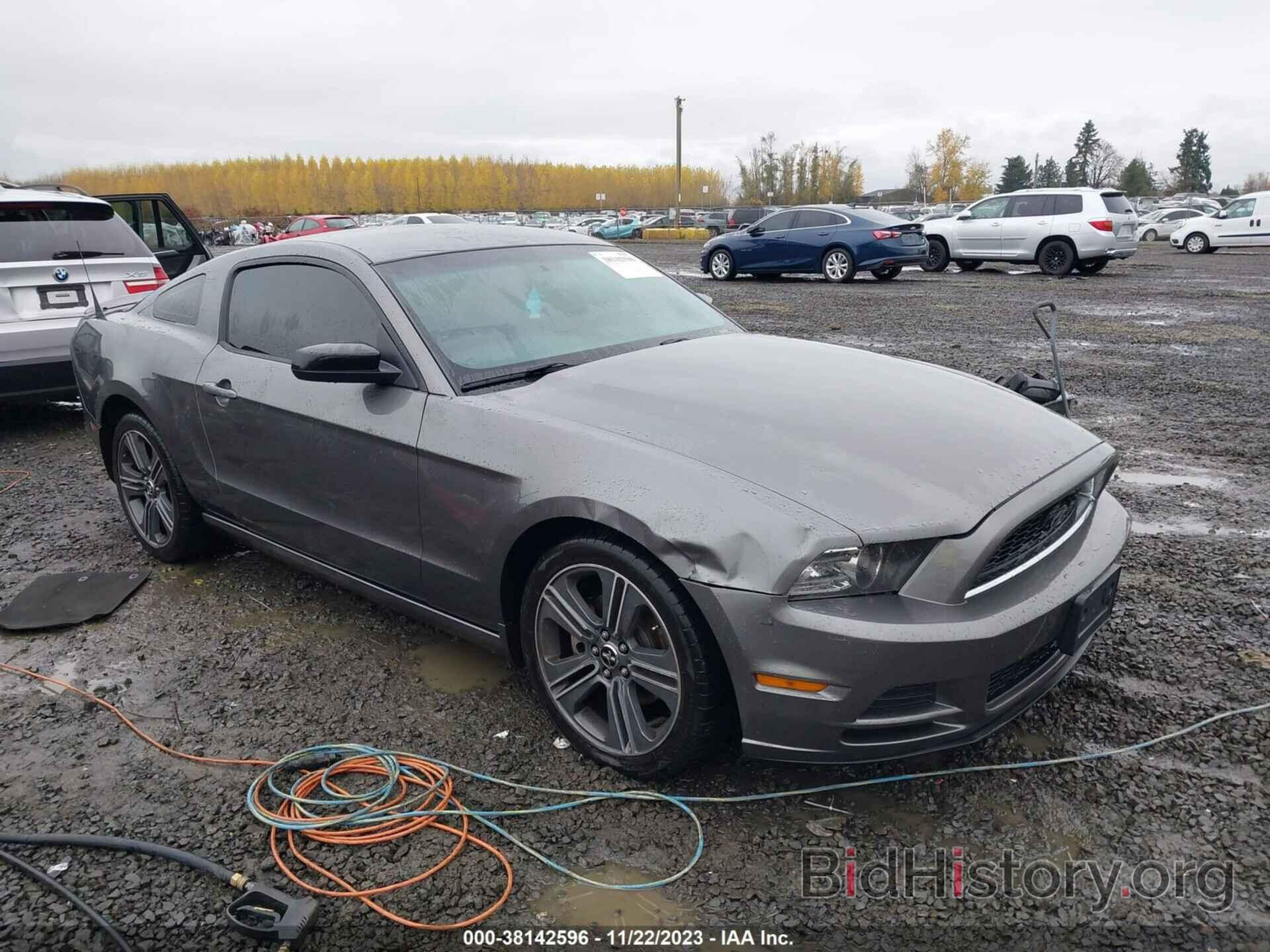 Photo 1ZVBP8AM8D5255604 - FORD MUSTANG 2013