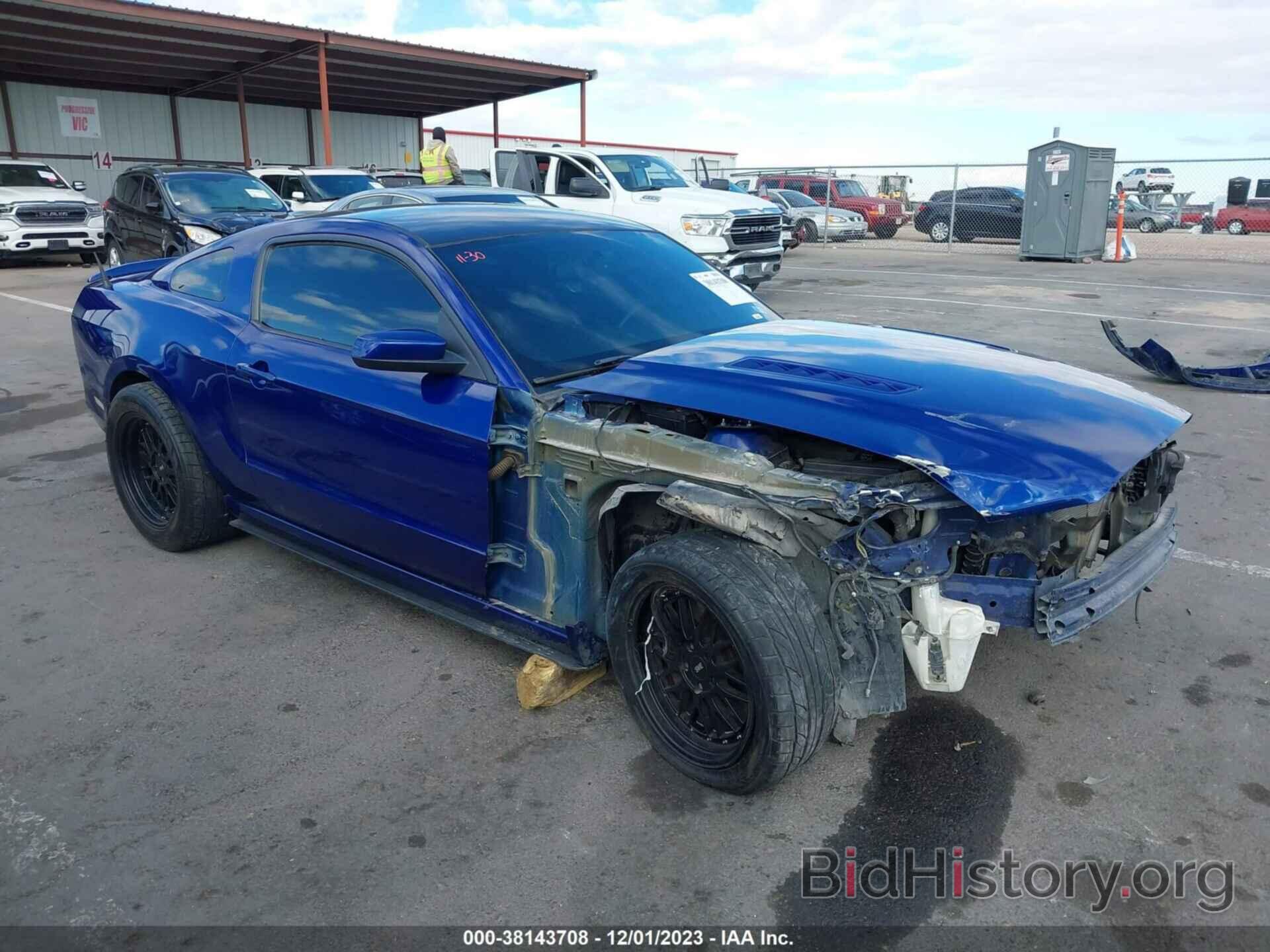 Photo 1ZVBP8CF8D5284356 - FORD MUSTANG 2013