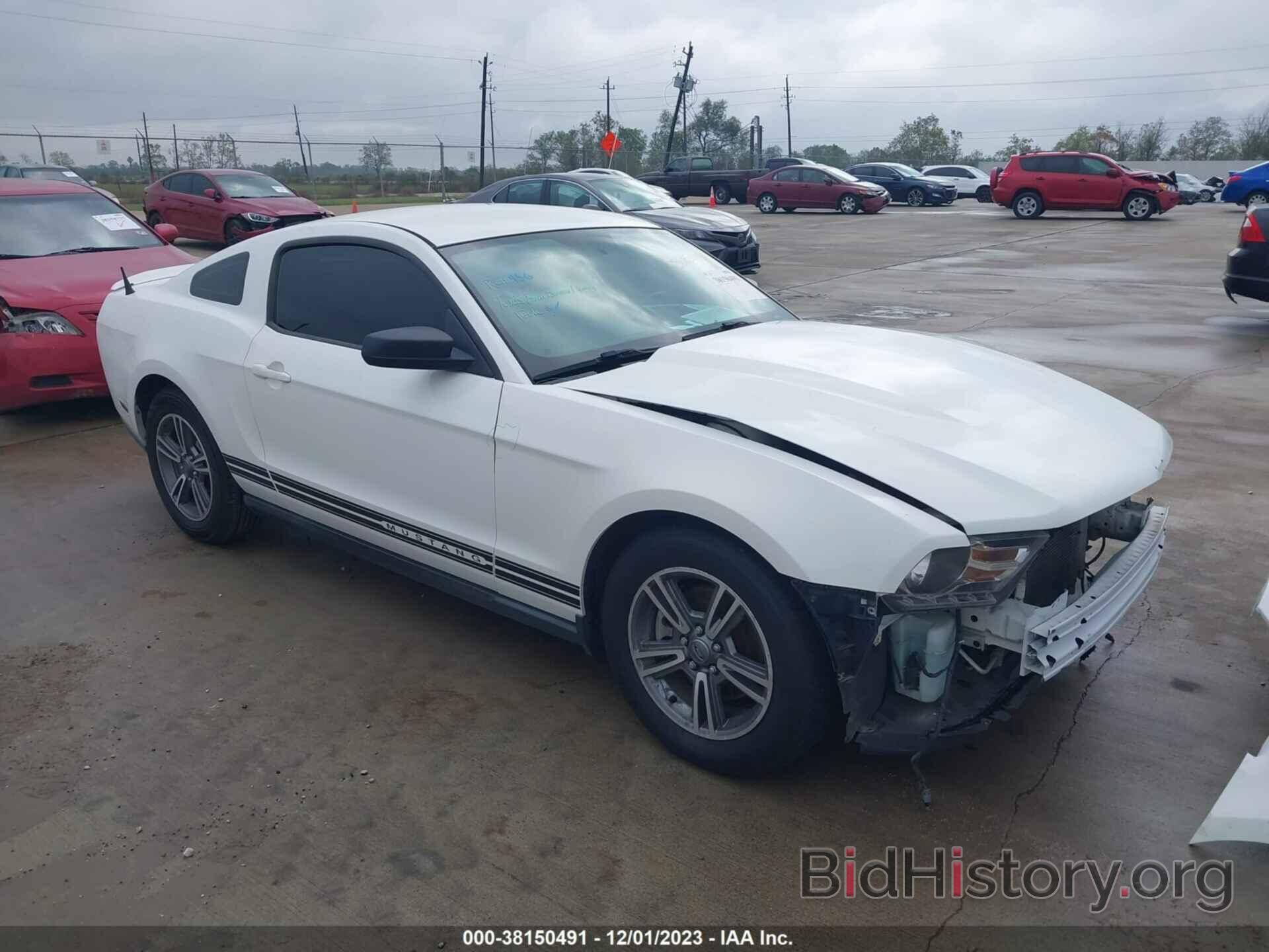 Photo 1ZVBP8AM0C5231053 - FORD MUSTANG 2012