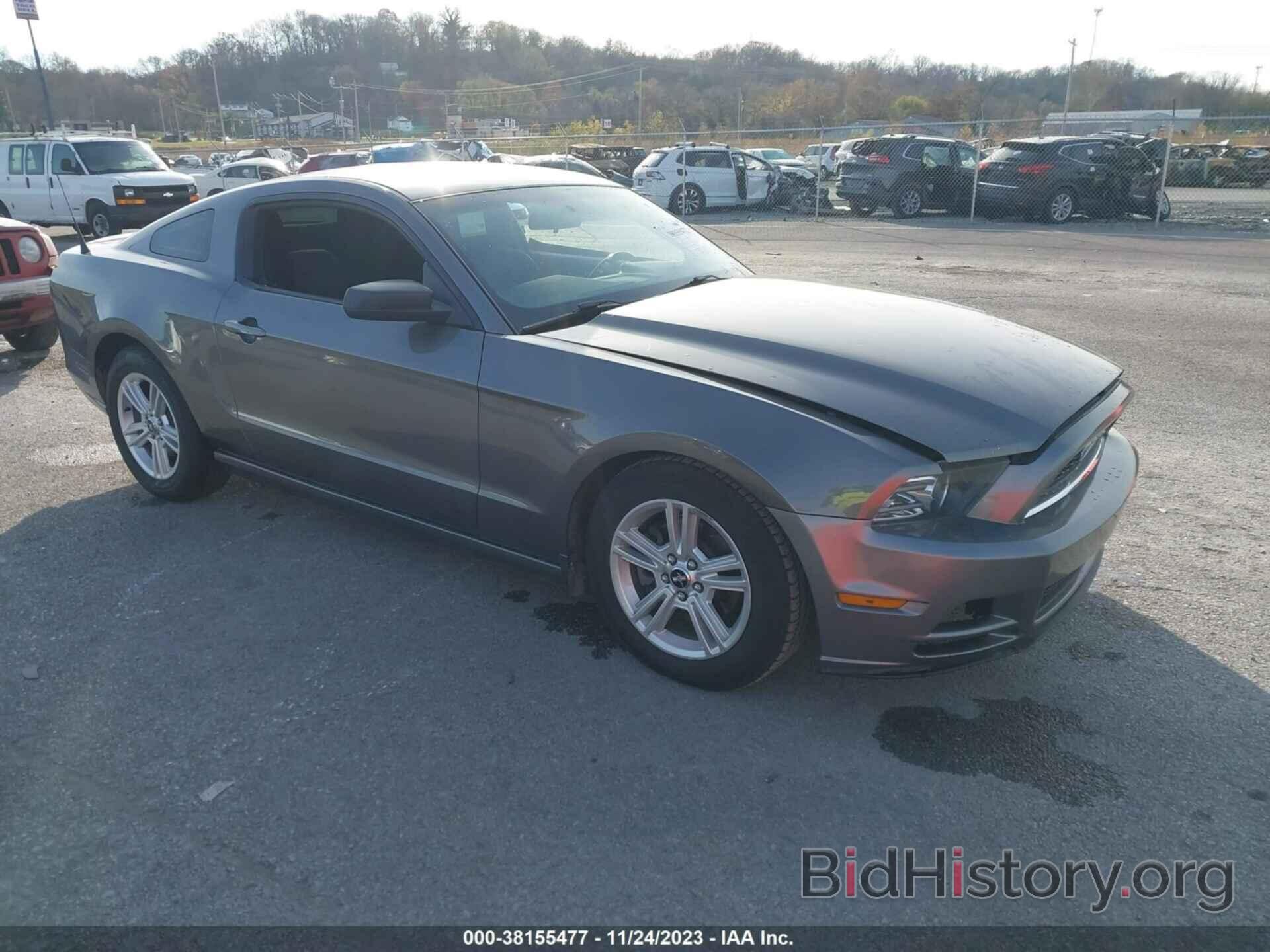 Photo 1ZVBP8AM1E5233655 - FORD MUSTANG 2014