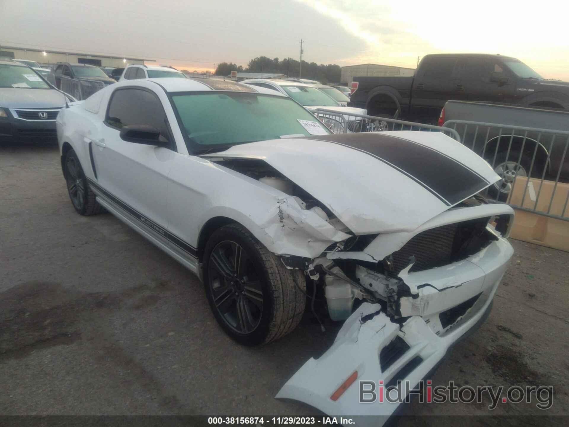 Photo 1ZVBP8AM4E5299410 - FORD MUSTANG 2014