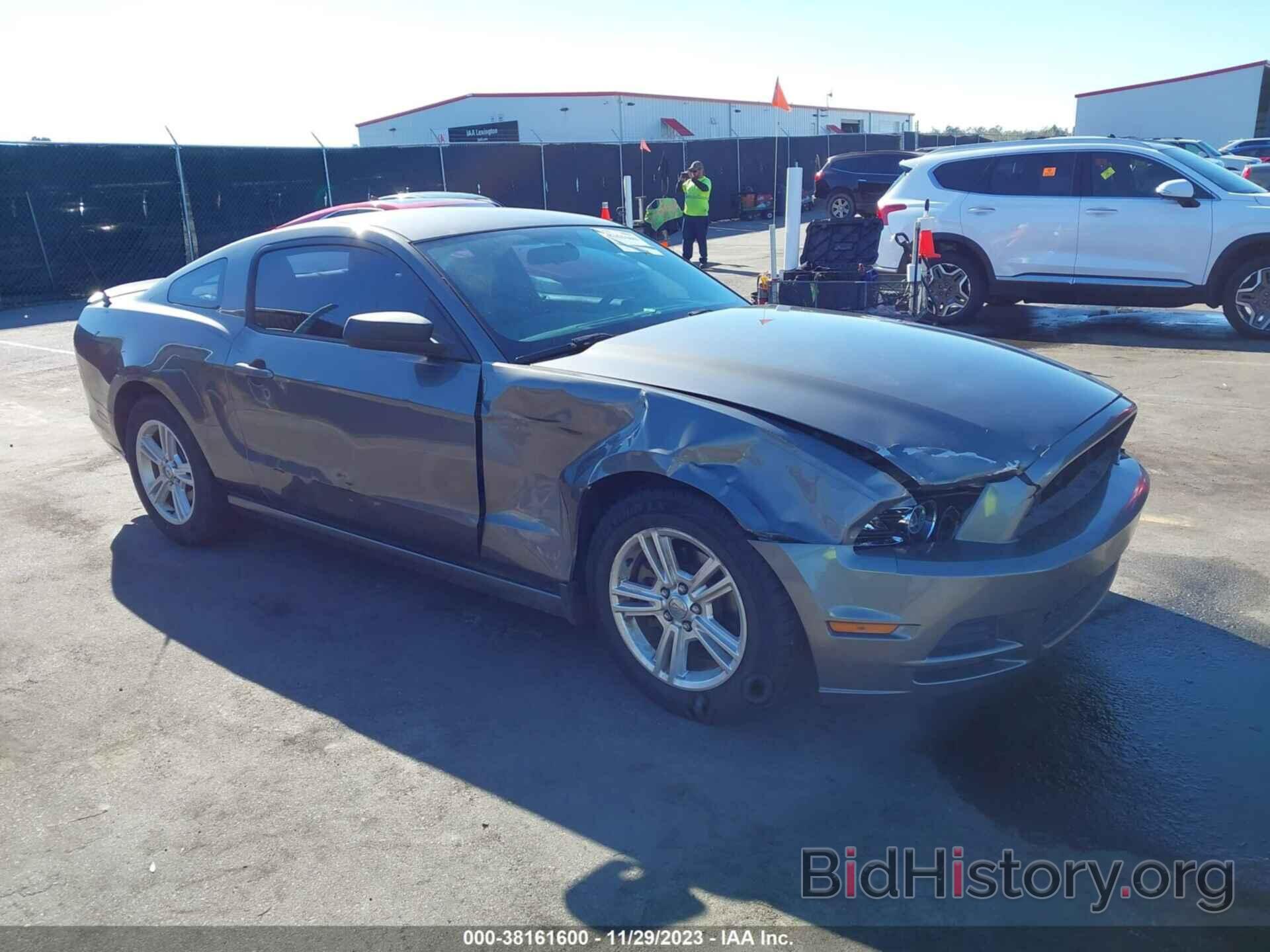 Photo 1ZVBP8AM7D5280932 - FORD MUSTANG 2013