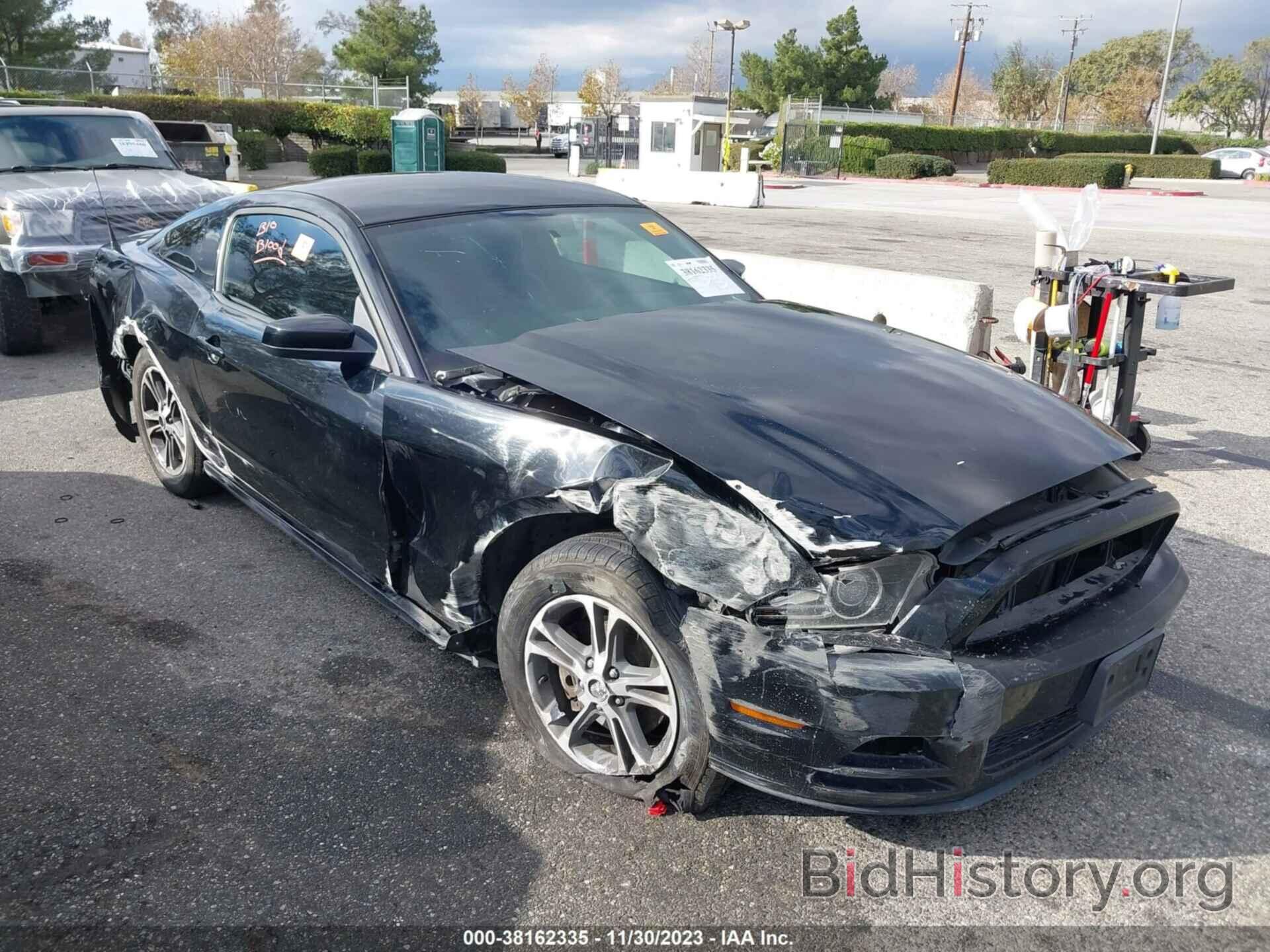 Photo 1ZVBP8AM9D5242568 - FORD MUSTANG 2013