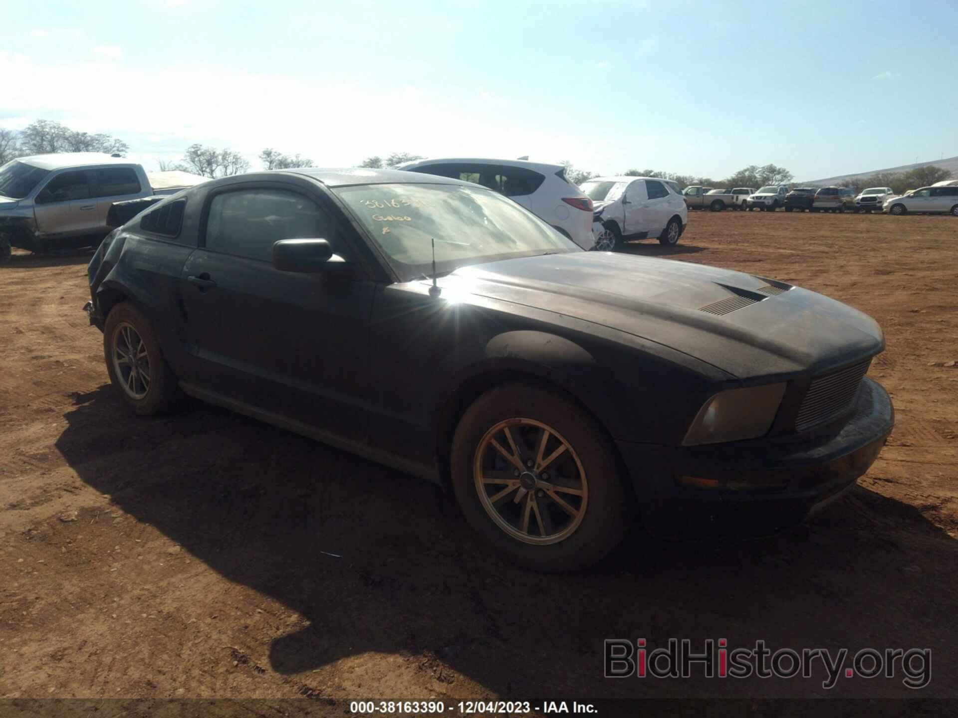 Photo 1ZVFT80N165155161 - FORD MUSTANG 2006