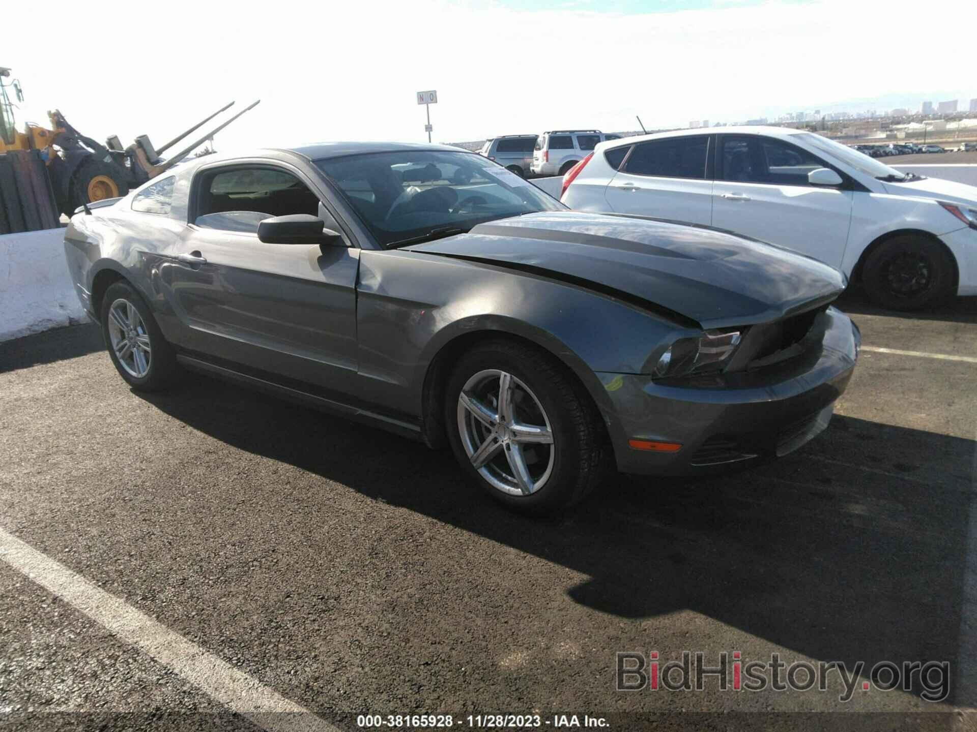 Photo 1ZVBP8AN2A5181035 - FORD MUSTANG 2010