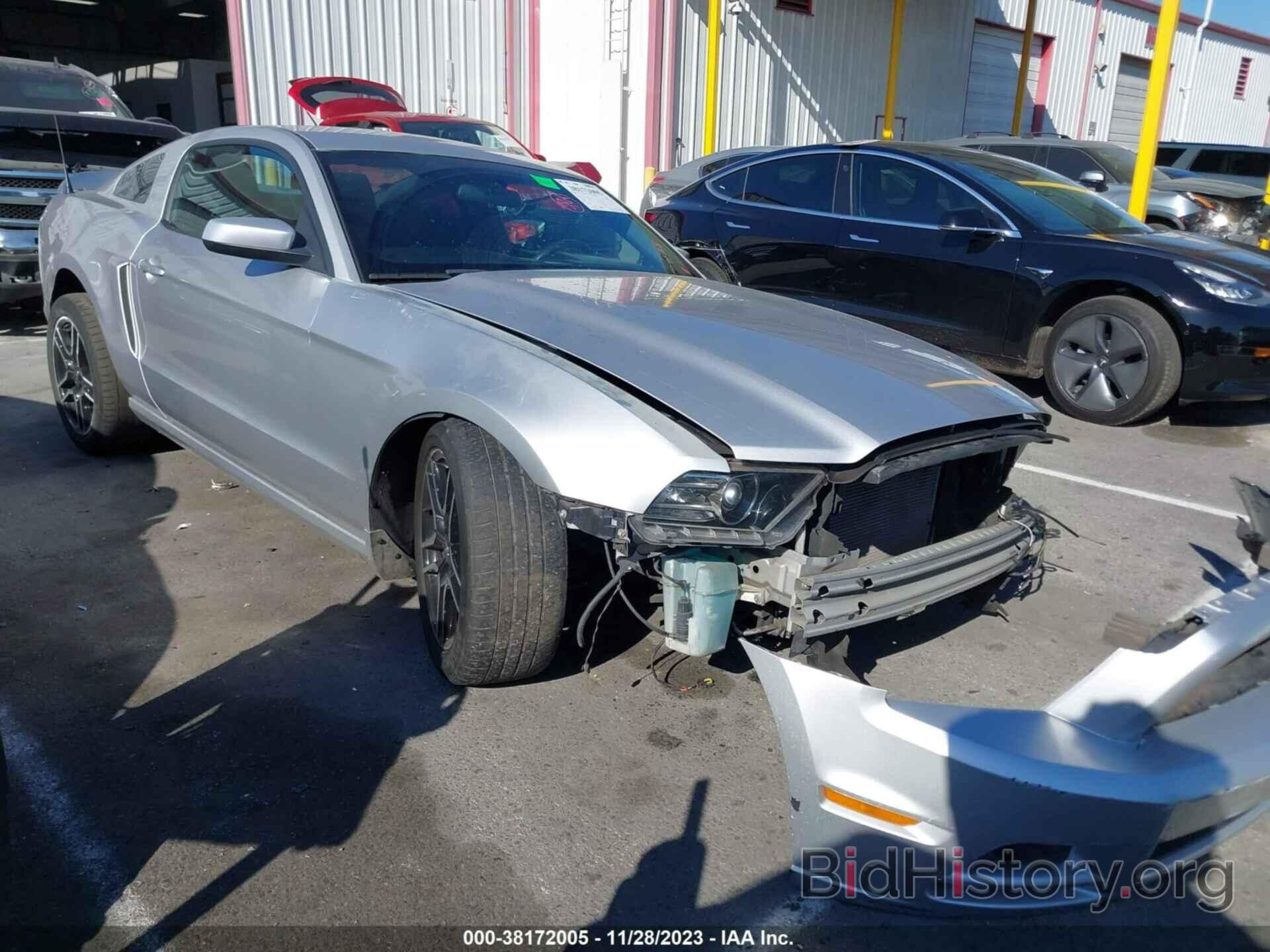Photo 1ZVBP8AM1D5203439 - FORD MUSTANG 2013