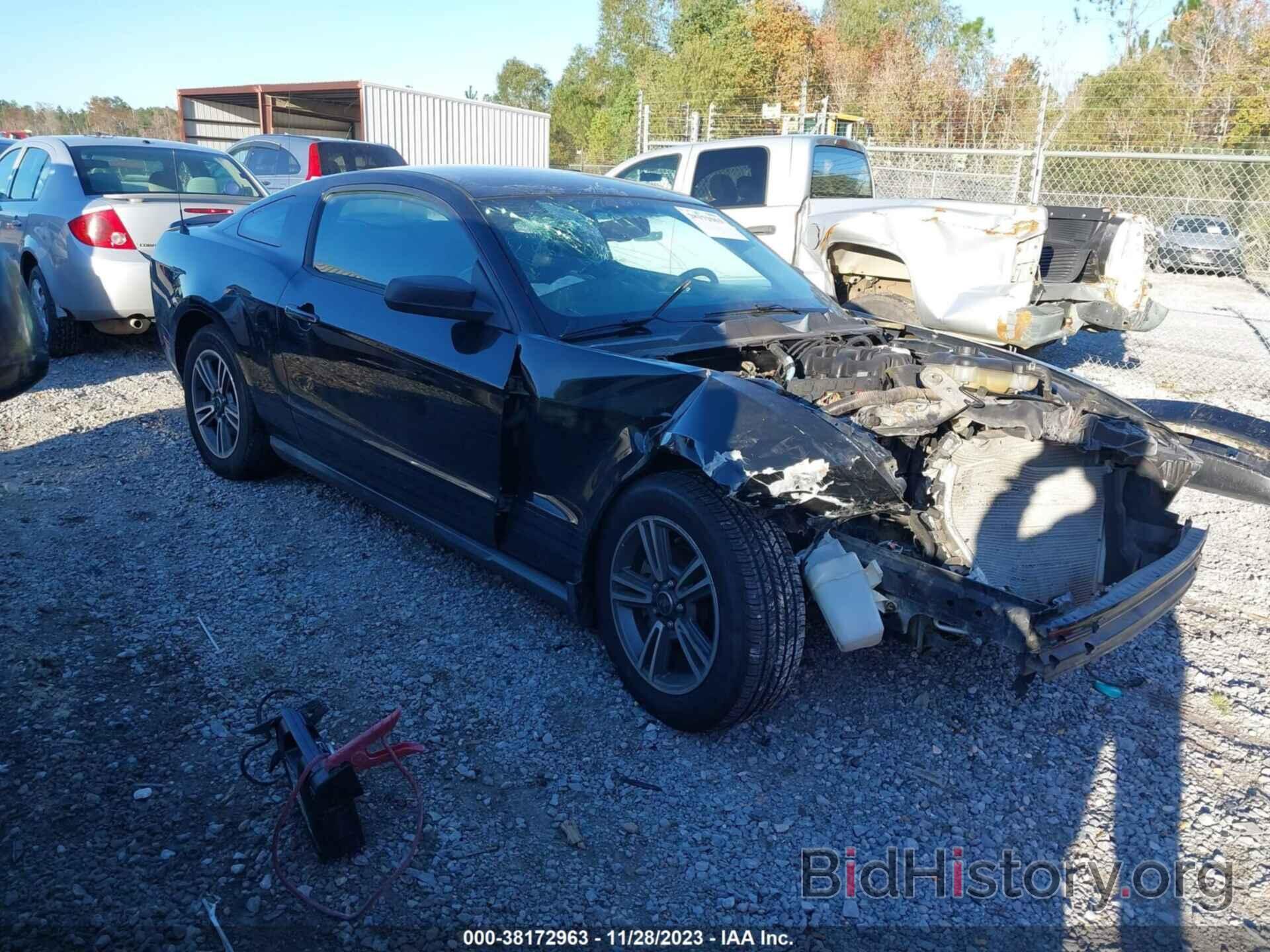 Photo 1ZVBP8AN7A5164604 - FORD MUSTANG 2010
