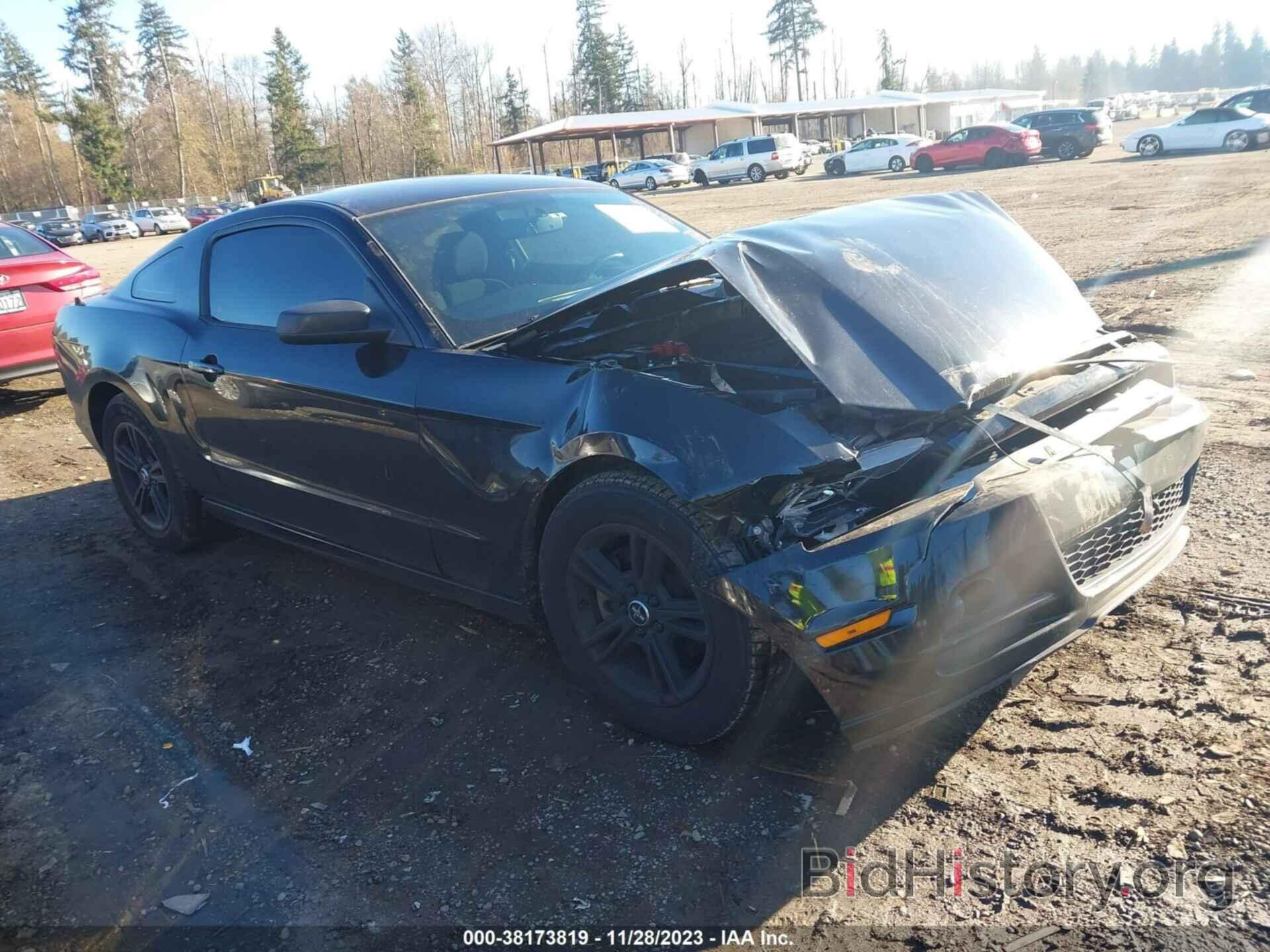 Photo 1ZVBP8AM7E5210476 - FORD MUSTANG 2014