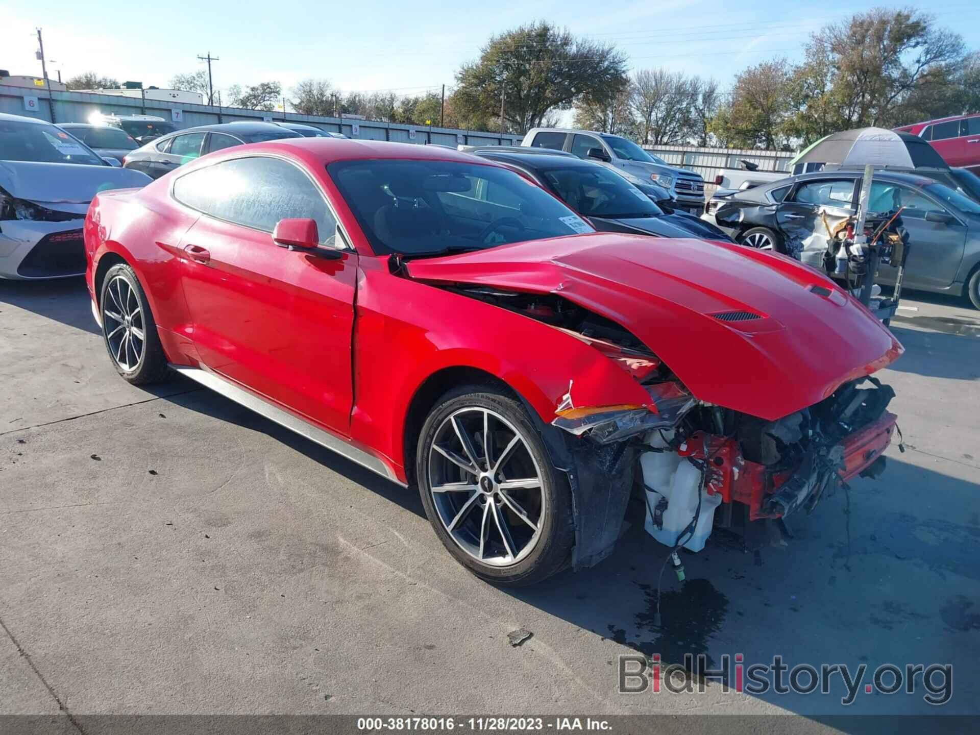 Photo 1FA6P8TH7K5135834 - FORD MUSTANG 2019