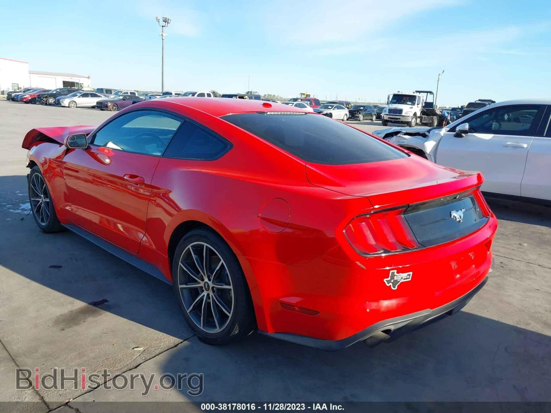 2019 FORD MUSTANG - VIN: 1FA6P8TH7K5135834 - Фото 3