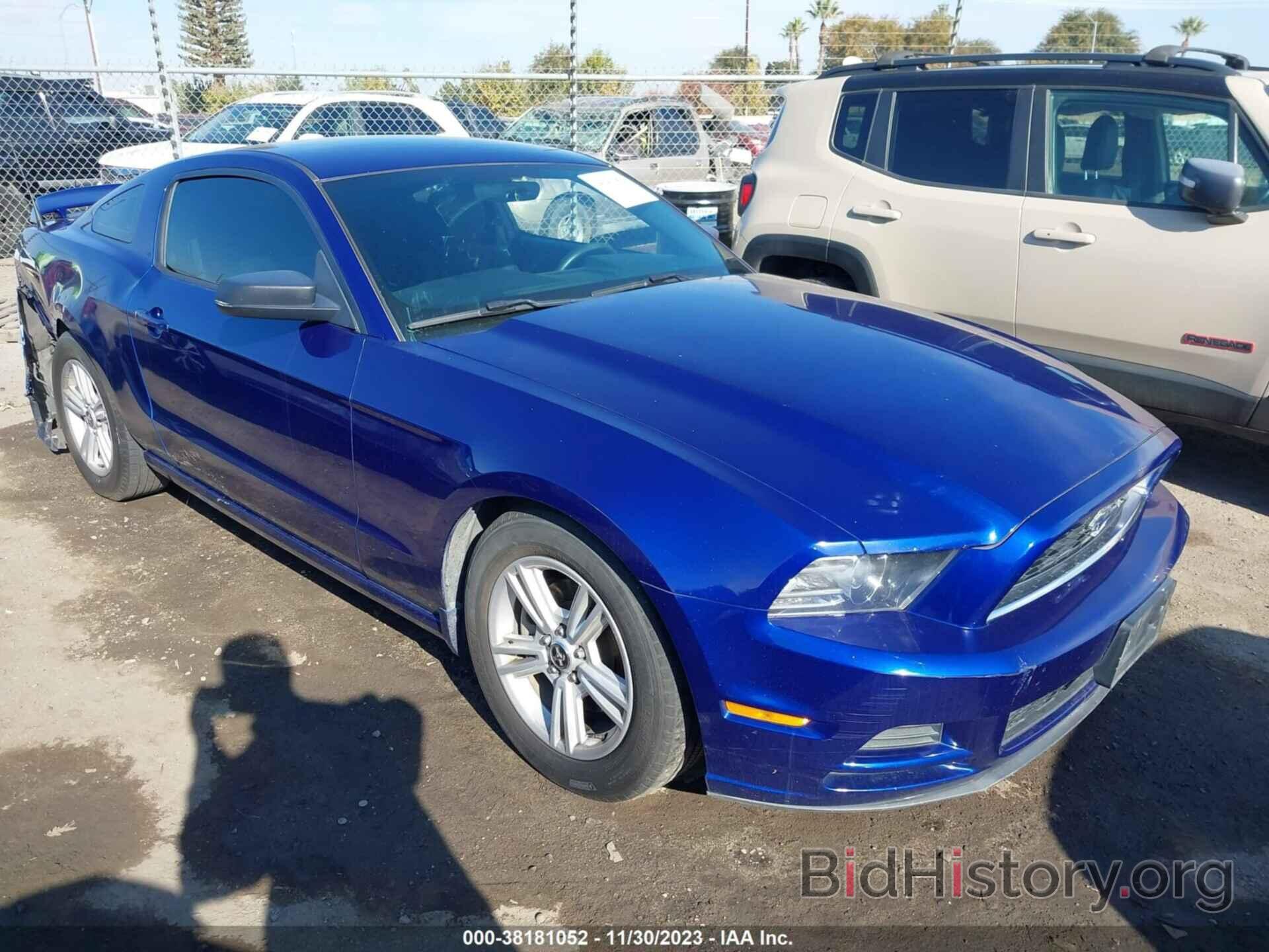 Photo 1ZVBP8AM8E5274753 - FORD MUSTANG 2014