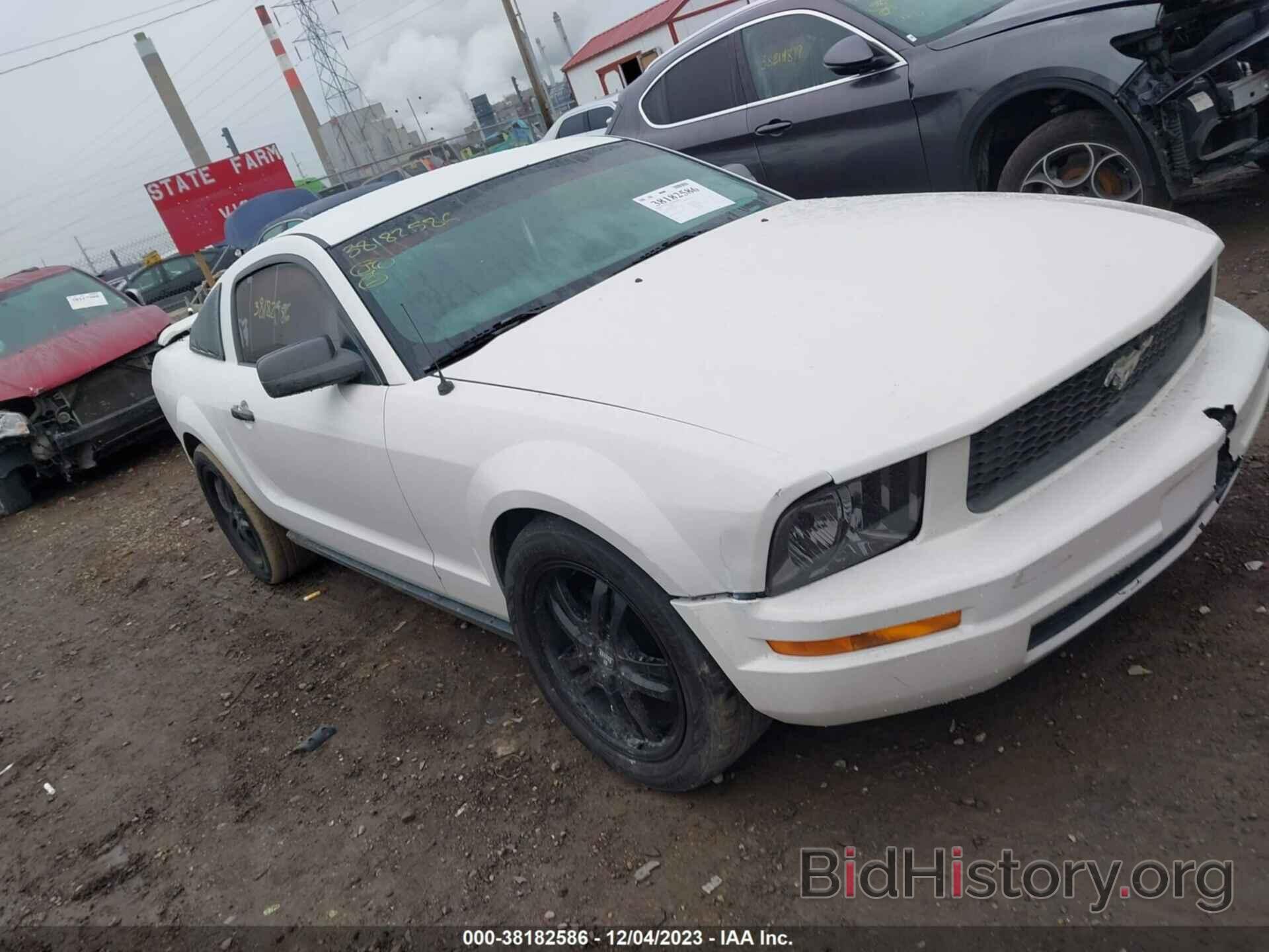 Photo 1ZVHT80NX65118795 - FORD MUSTANG 2006