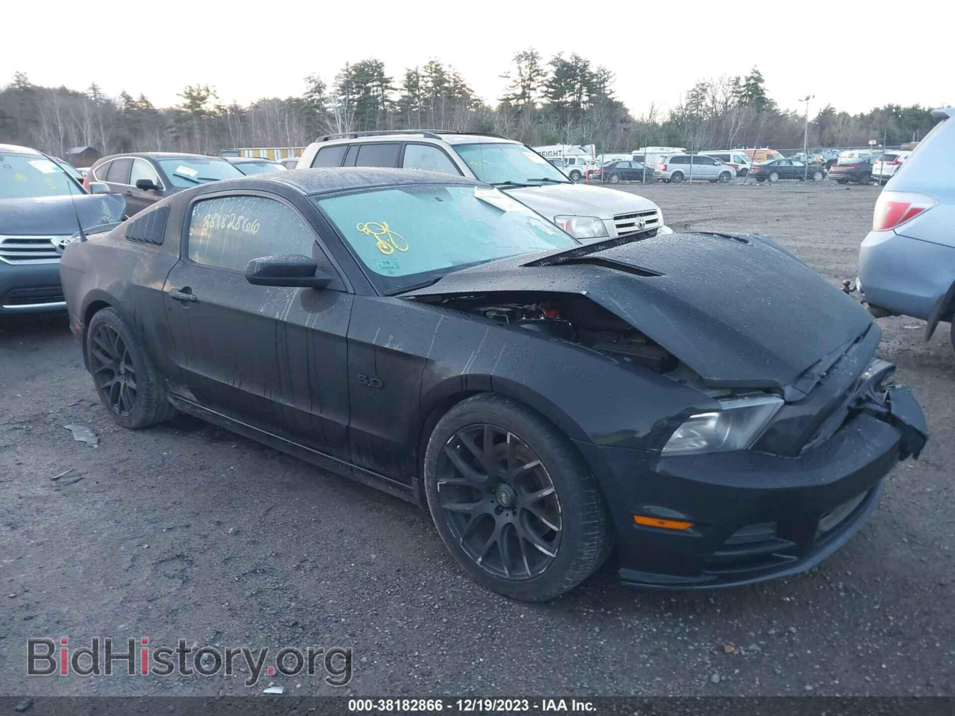 Фотография 1ZVBP8CF7D5225802 - FORD MUSTANG 2013