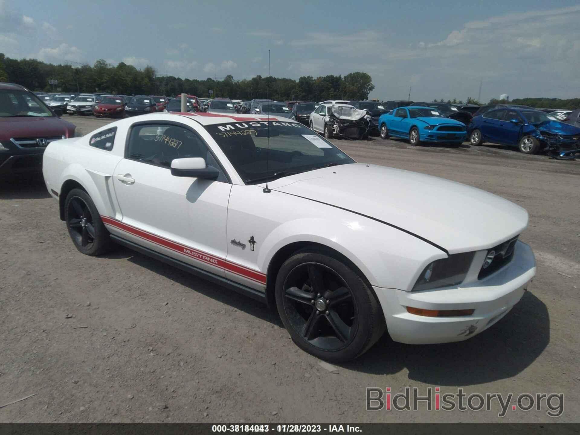 Photo 1ZVFT80N675258173 - FORD MUSTANG 2007