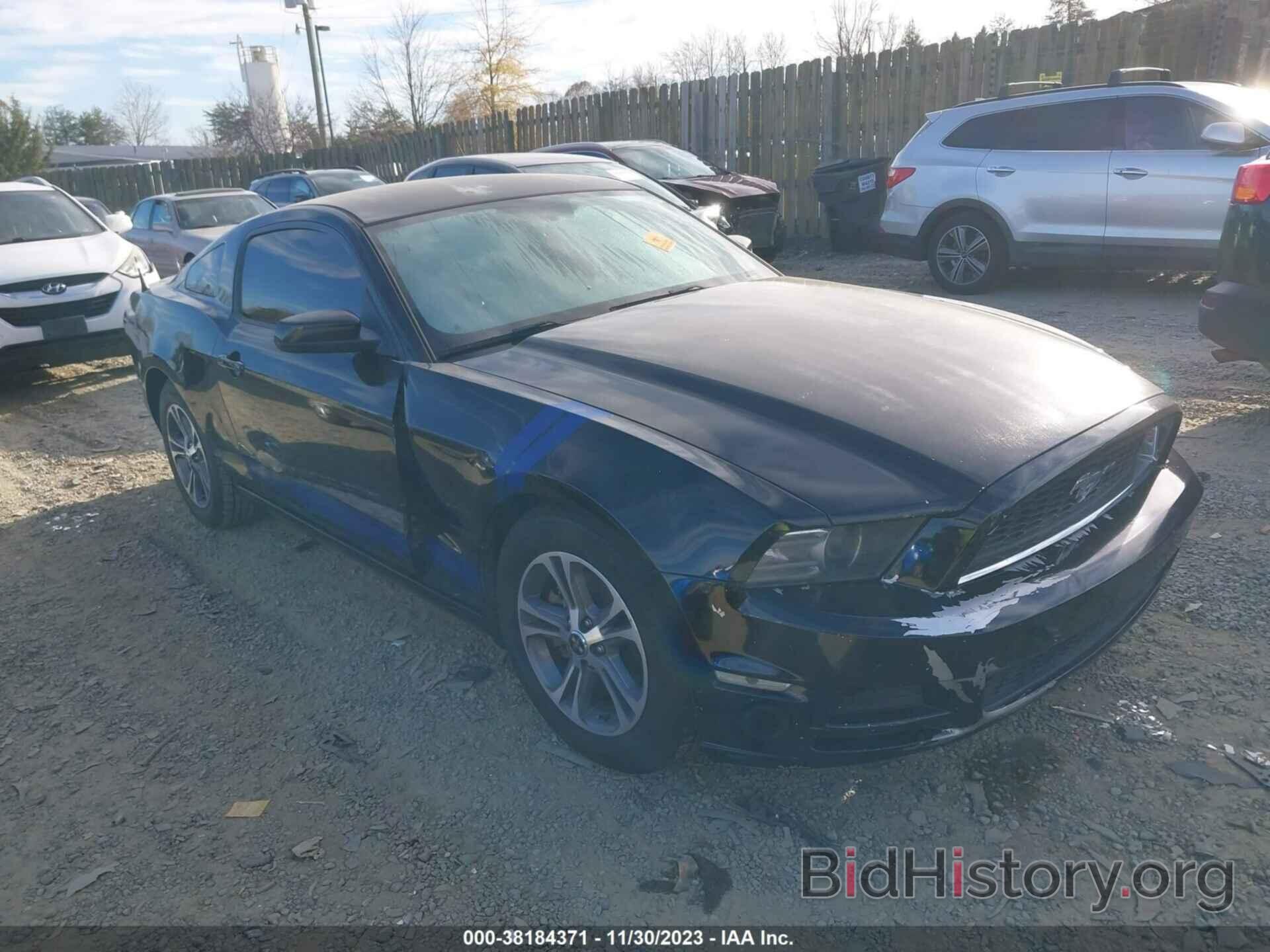 Photo 1ZVBP8AM6E5292264 - FORD MUSTANG 2014