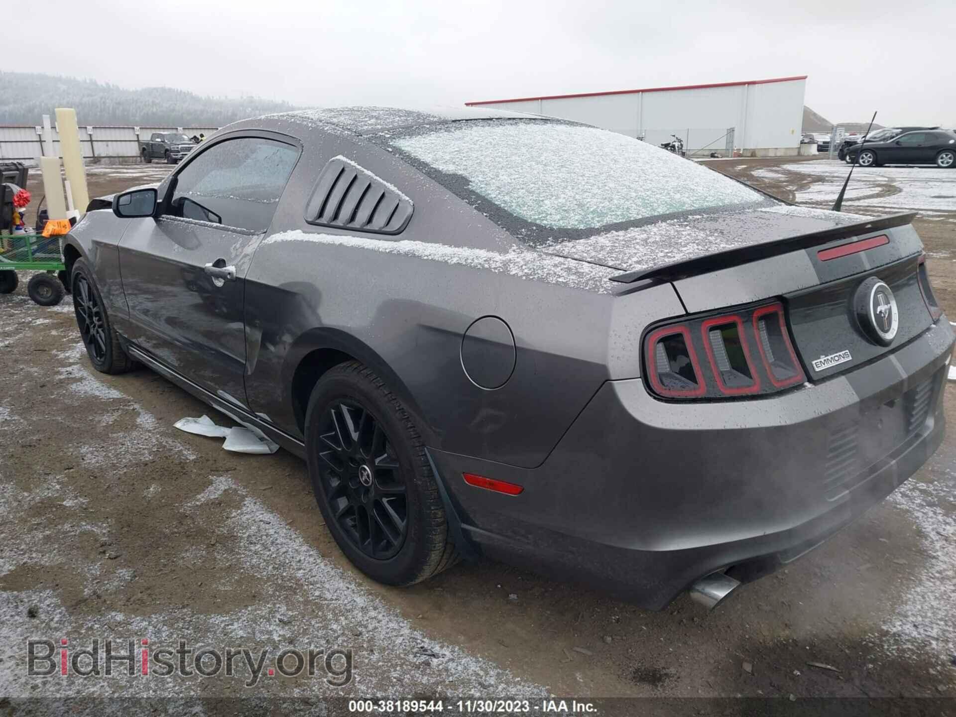 2014 FORD MUSTANG - VIN: 1ZVBP8AM8E5254633 - Фото 3