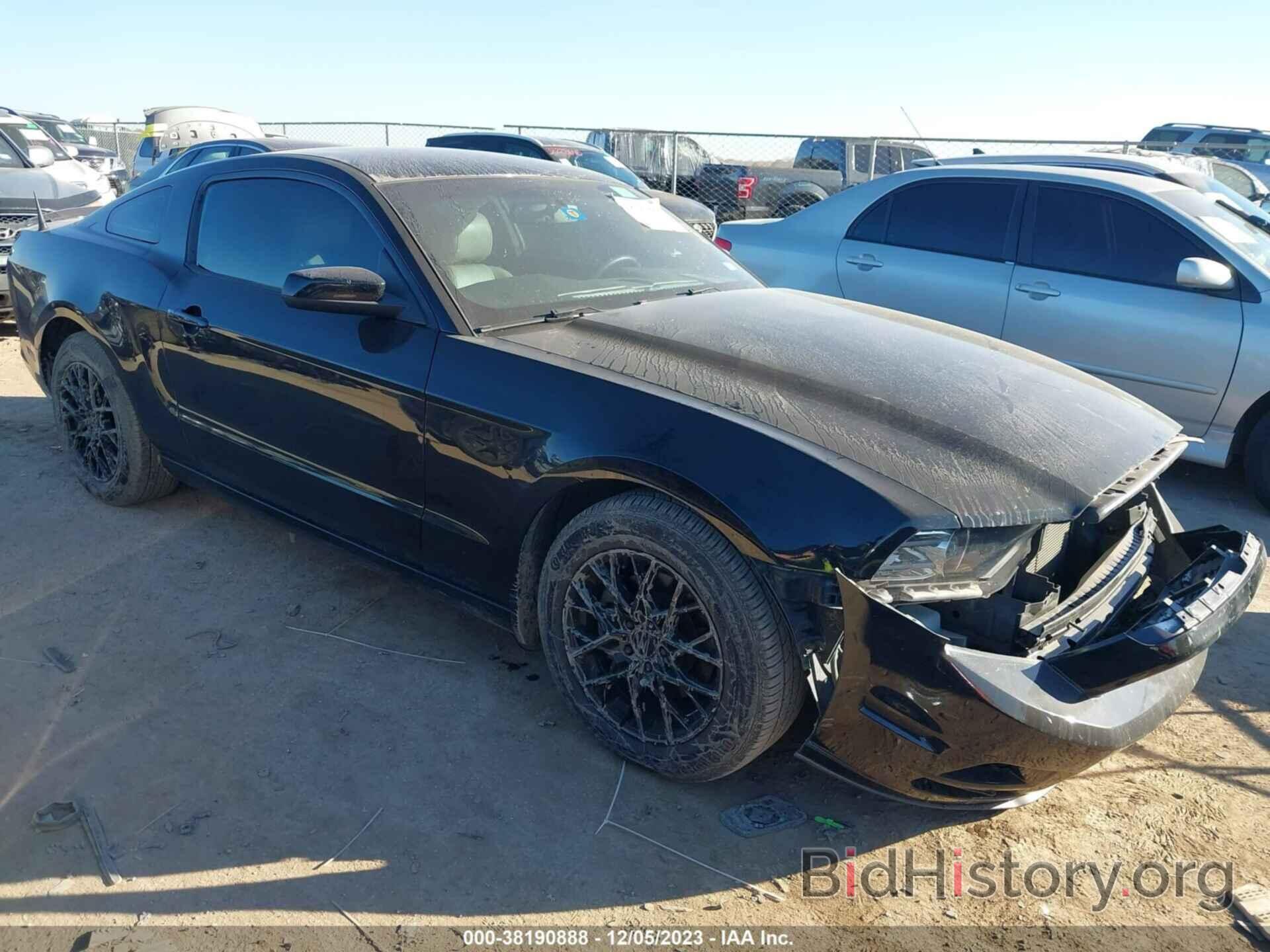 Photo 1ZVBP8AM2E5324871 - FORD MUSTANG 2014